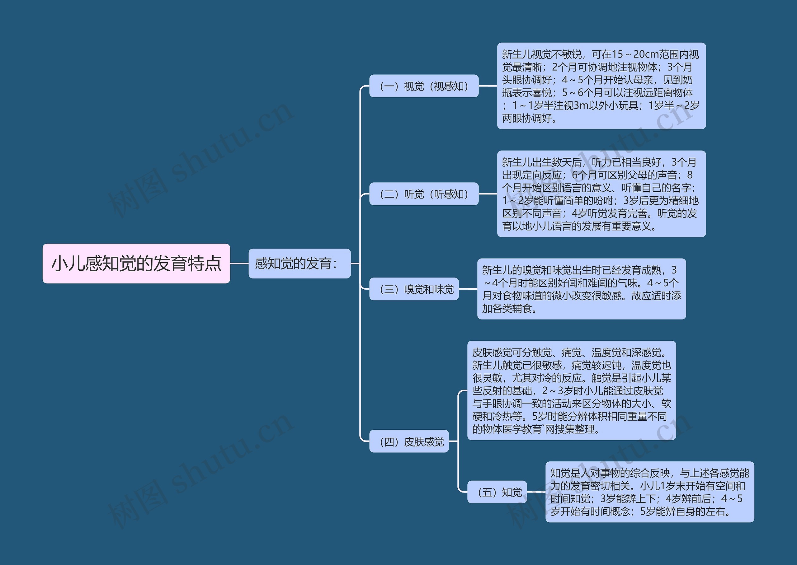 小儿感知觉的发育特点