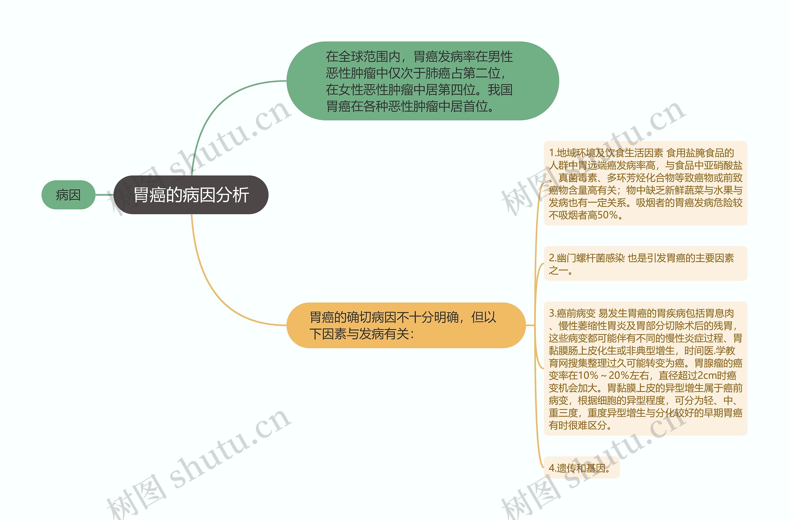 胃癌的病因分析思维导图