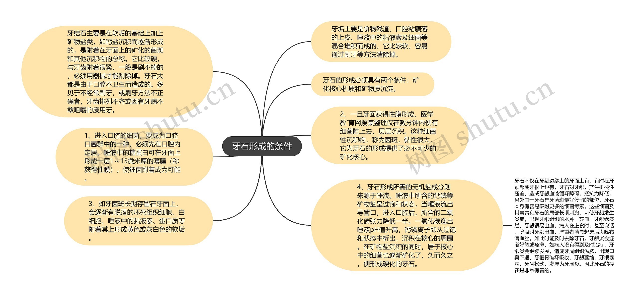 牙石形成的条件