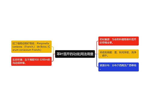 革叶茴芹的功效|用法用量