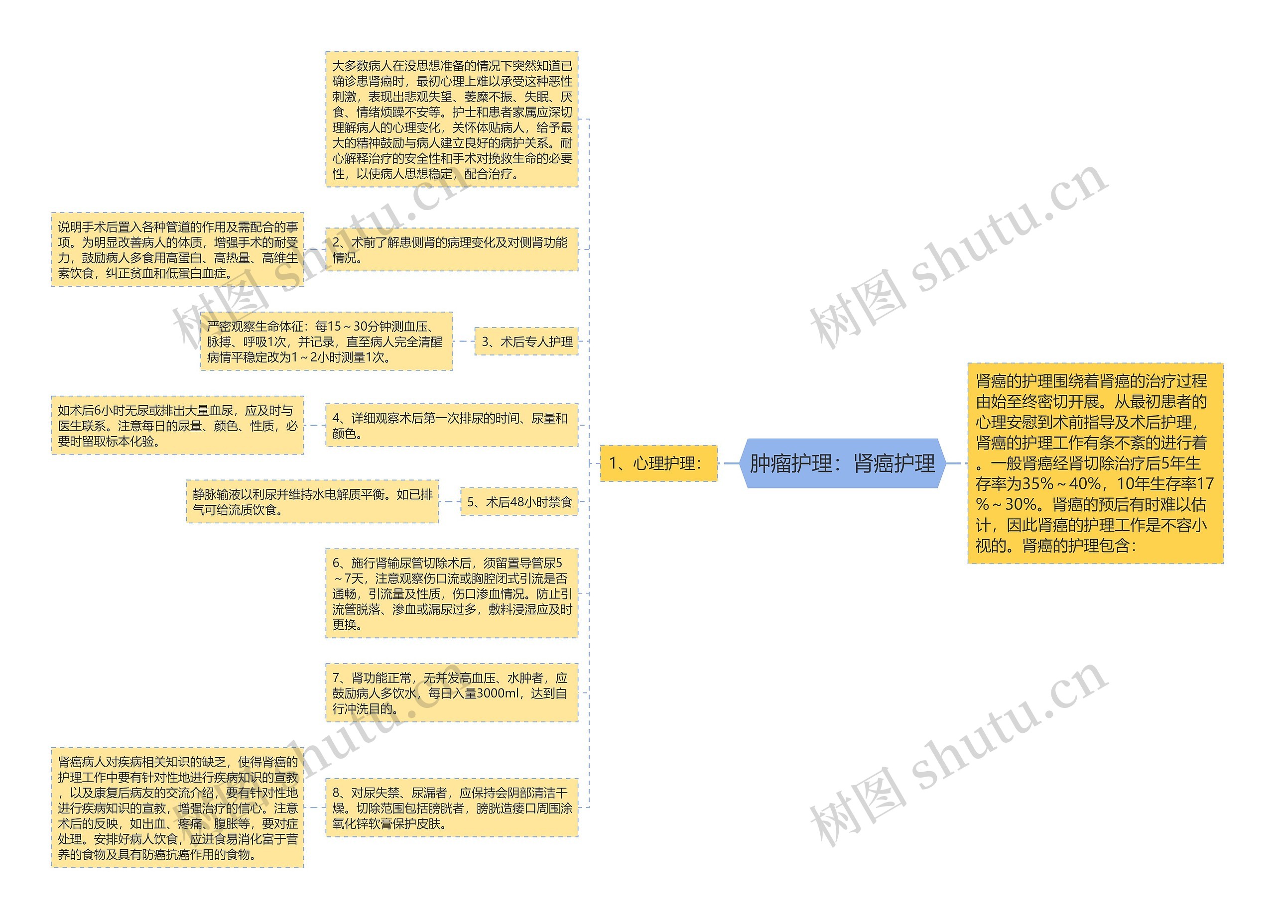 肿瘤护理：肾癌护理思维导图