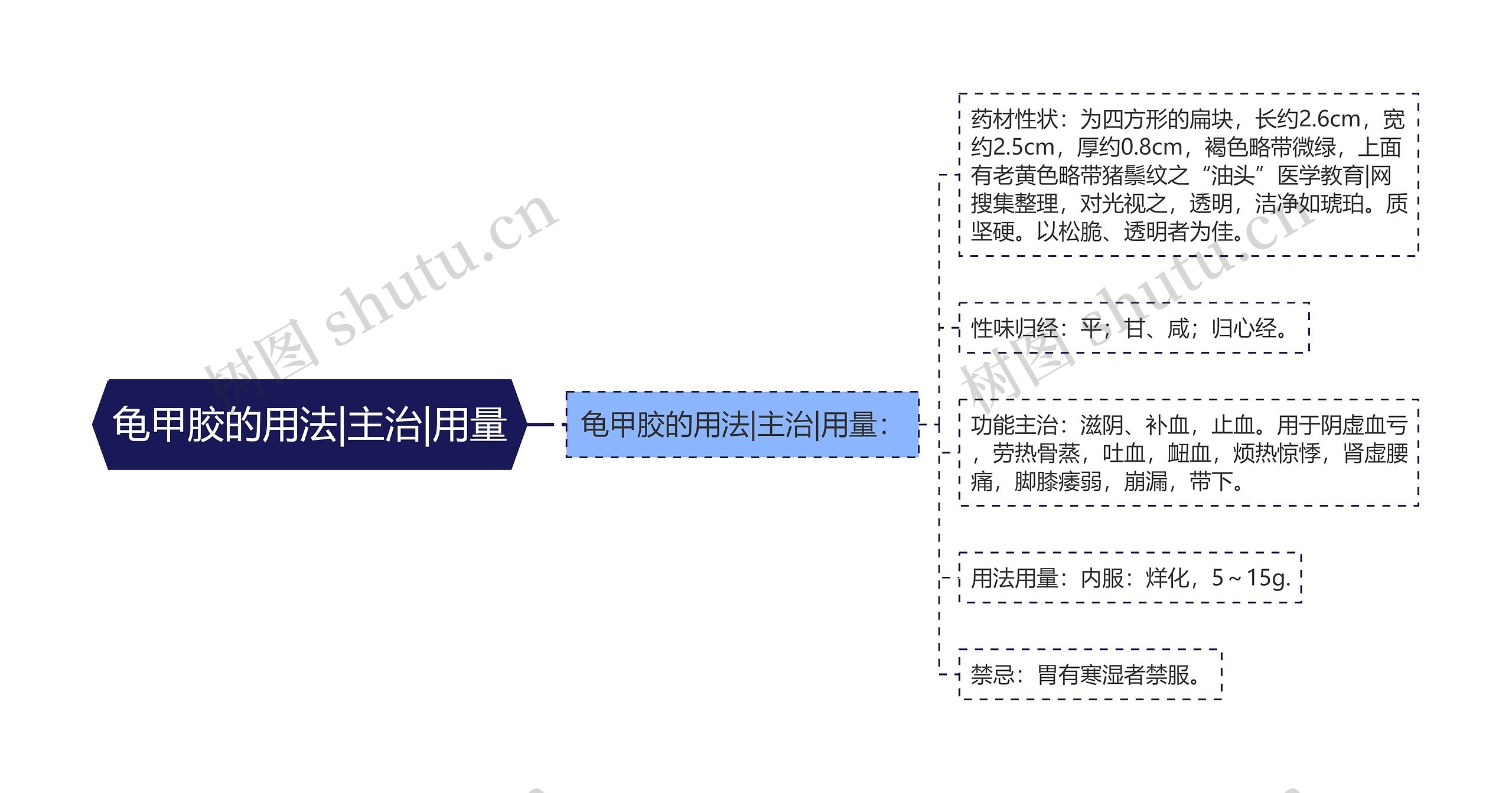 龟甲胶的用法|主治|用量思维导图