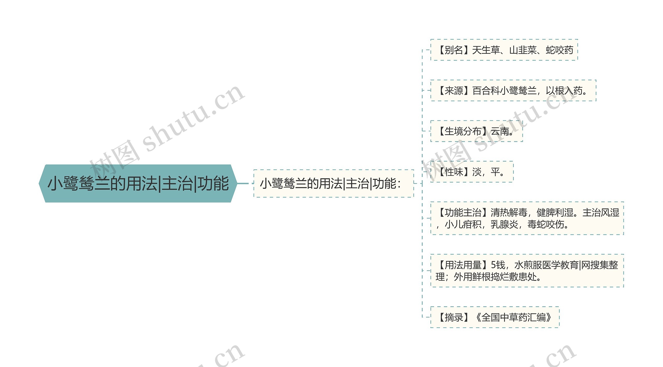 小鹭鸶兰的用法|主治|功能思维导图