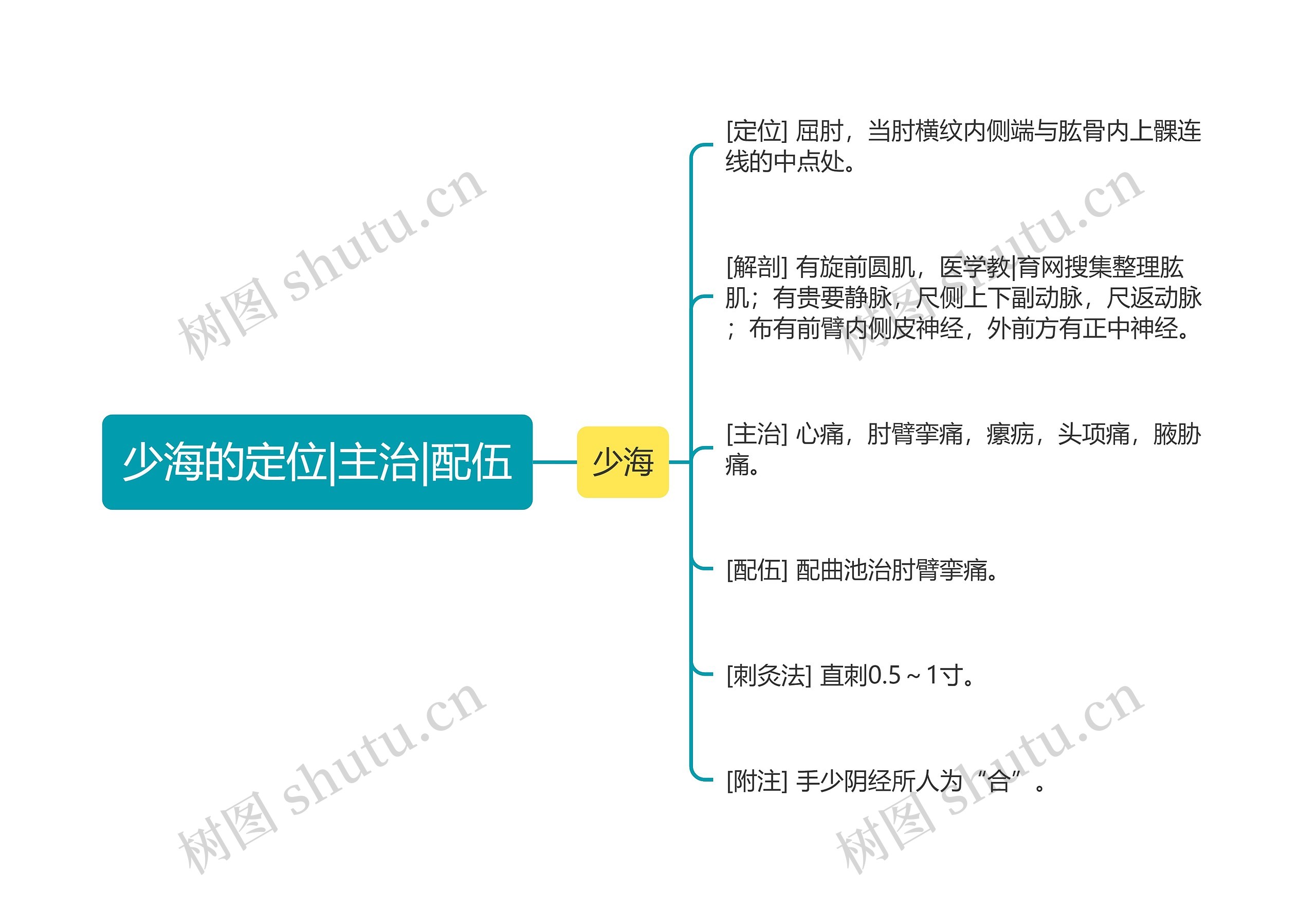 少海的定位|主治|配伍思维导图