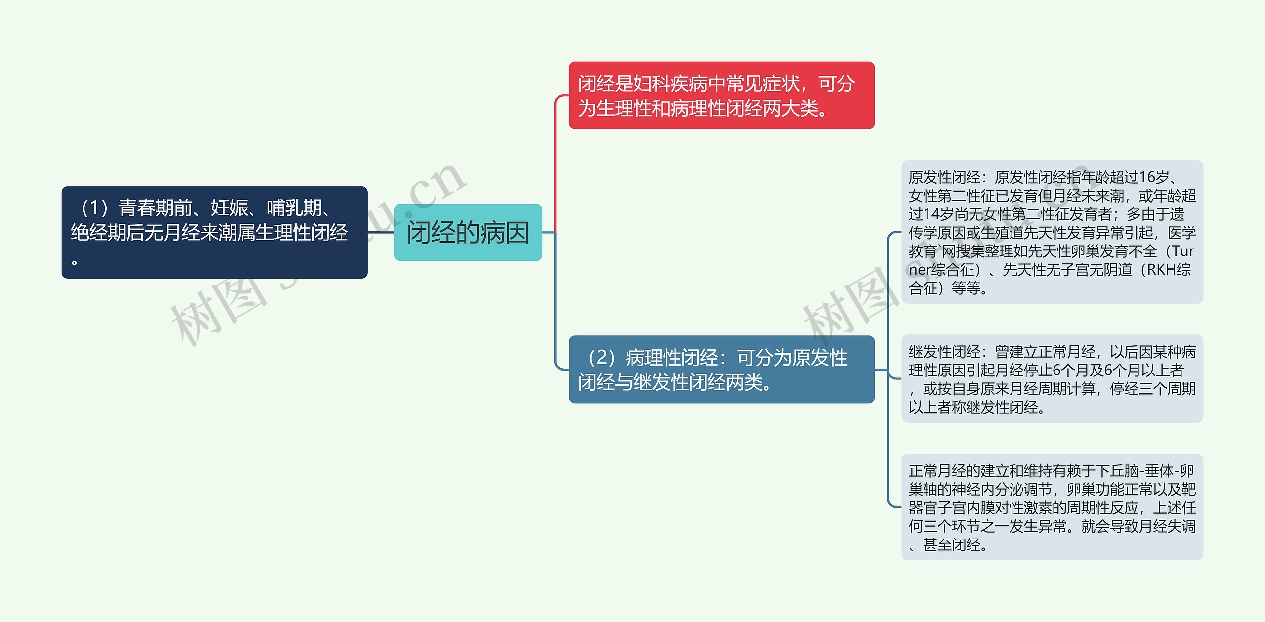 闭经的病因