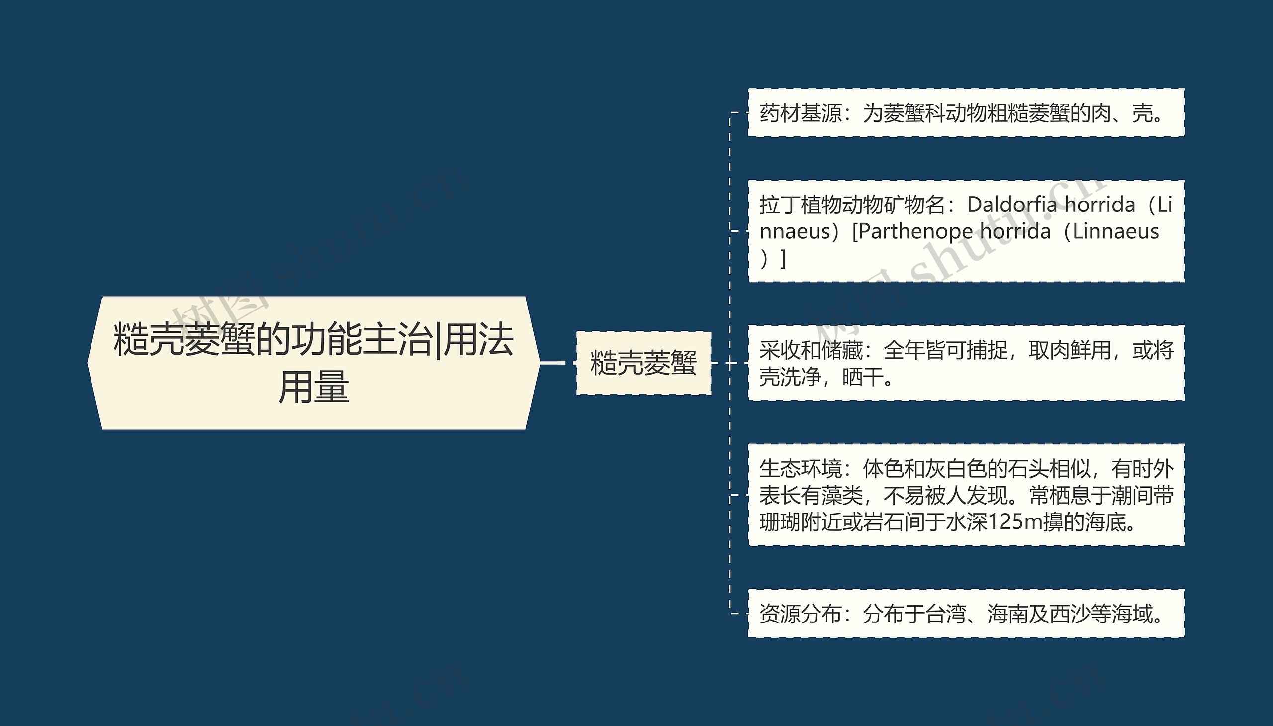 糙壳菱蟹的功能主治|用法用量 糙壳菱蟹的功能主治|用法用量