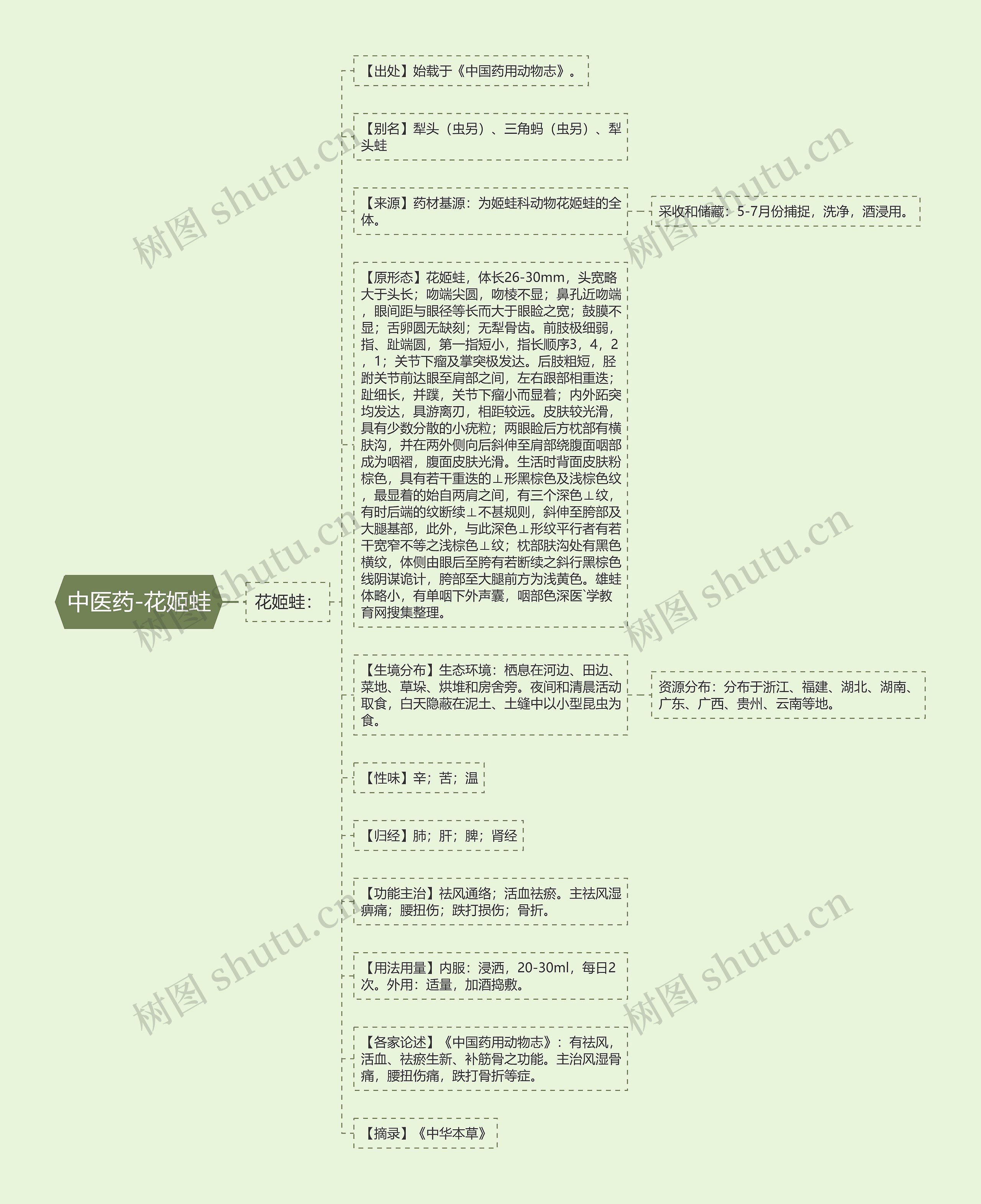 中医药-花姬蛙思维导图