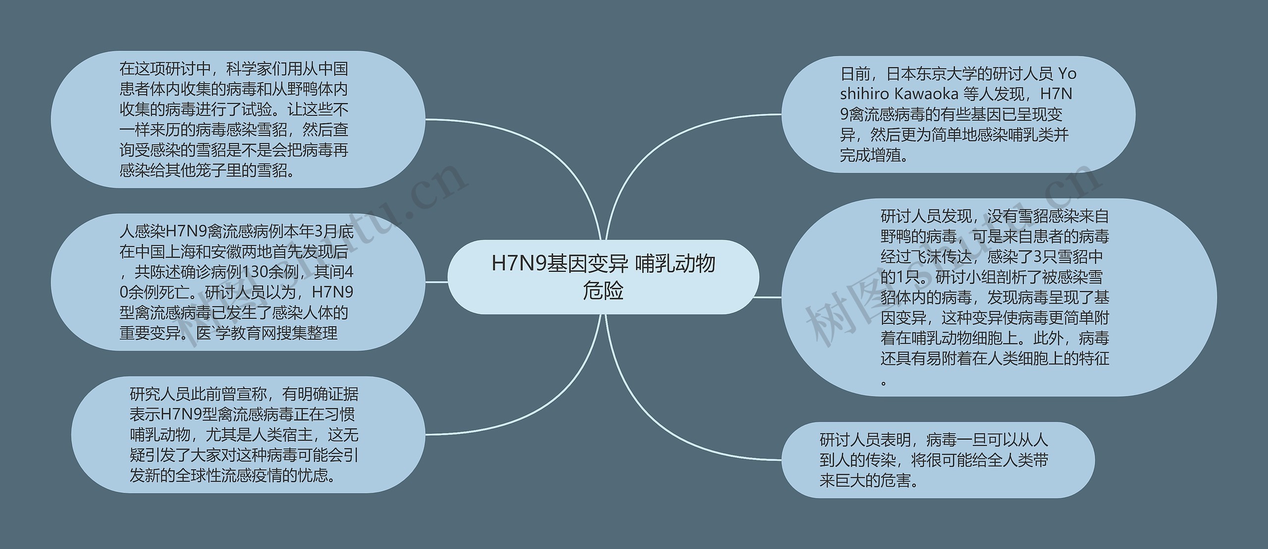 H7N9基因变异 哺乳动物危险思维导图高清图 H7N9基因变异 哺乳动物危险思维导图