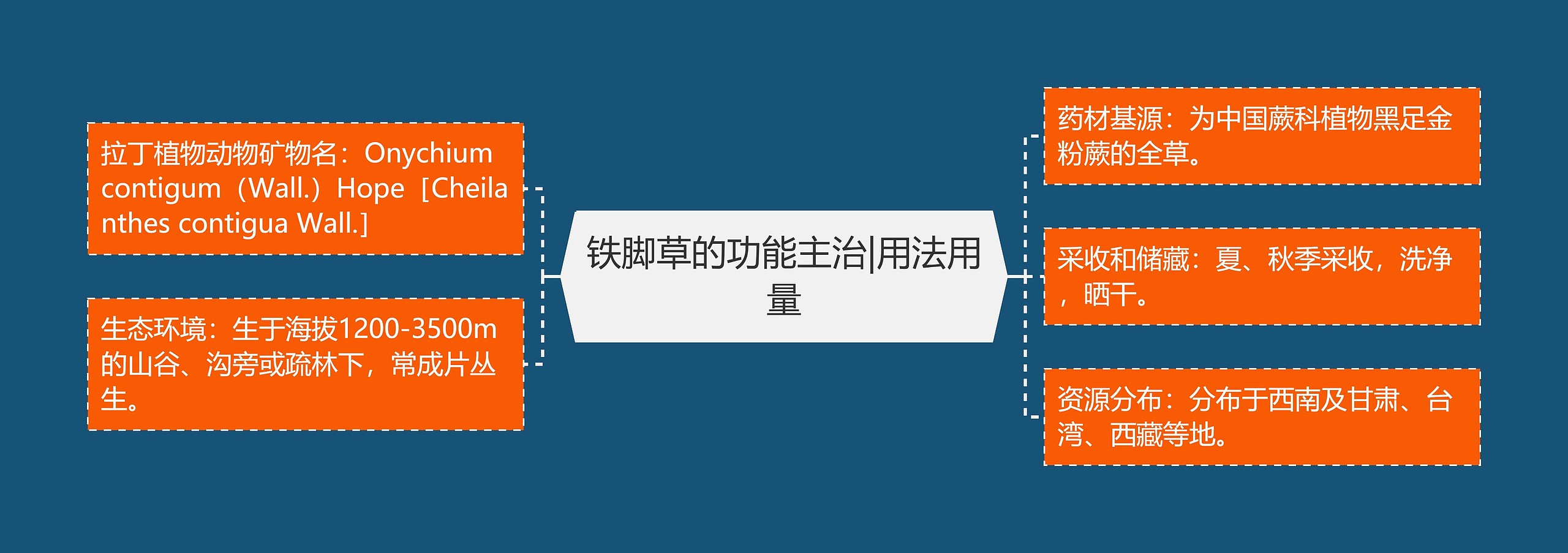铁脚草的功能主治|用法用量