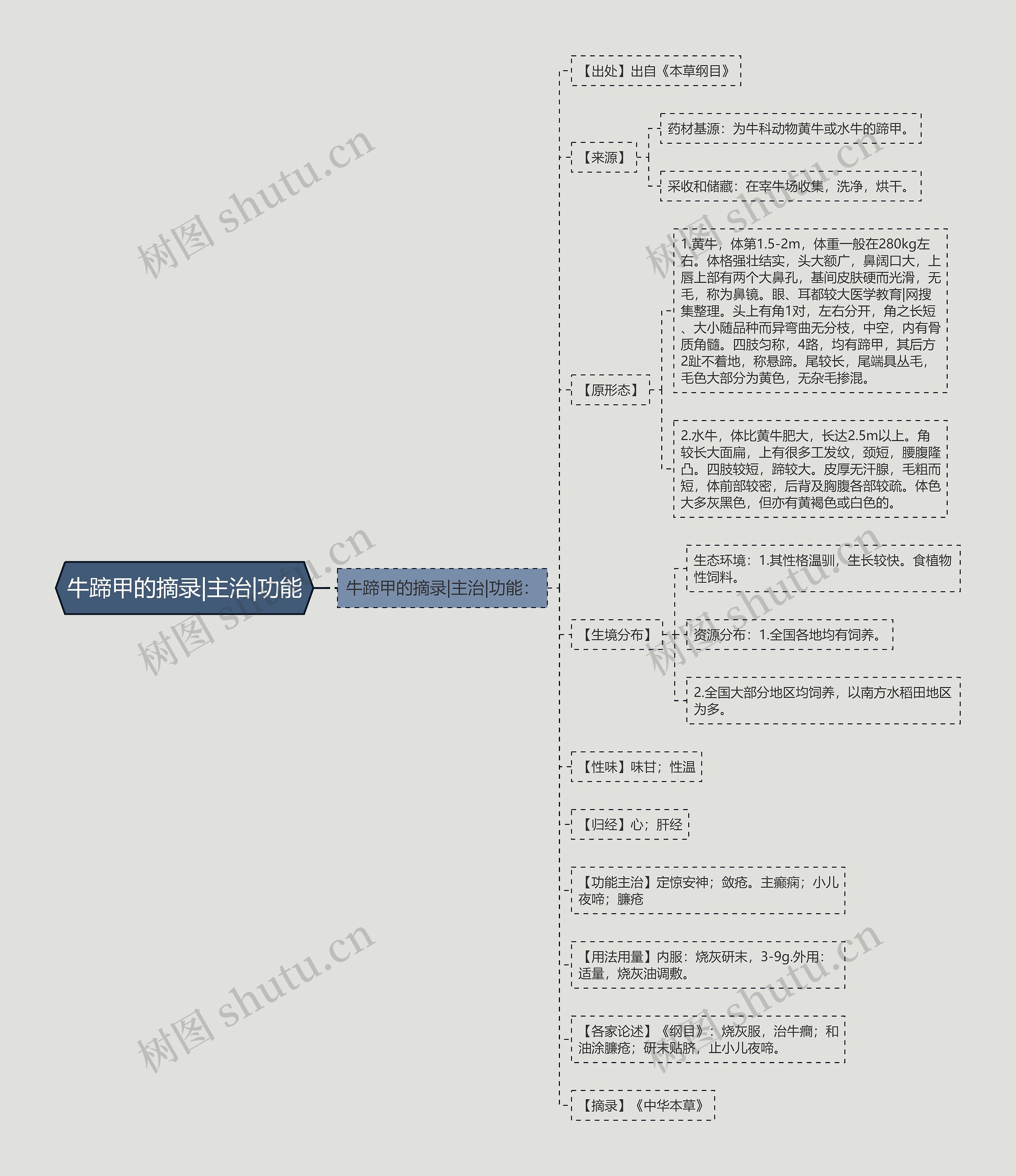 牛蹄甲的摘录|主治|功能思维导图