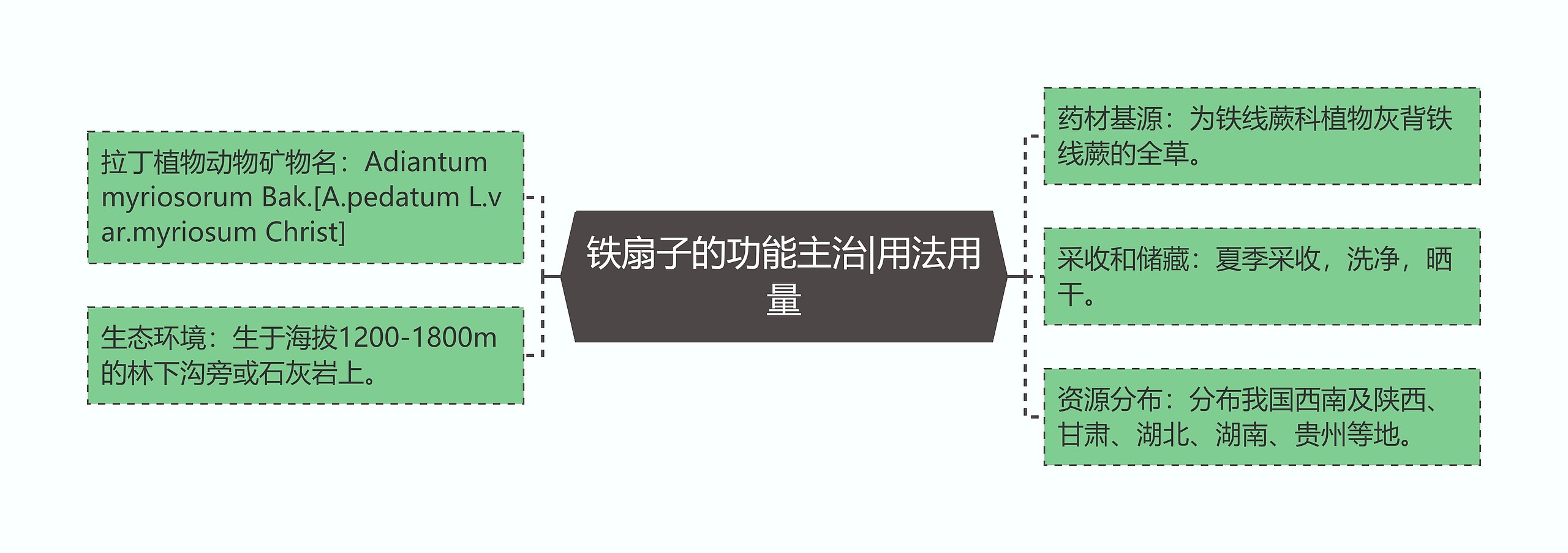 铁扇子的功能主治|用法用量思维导图