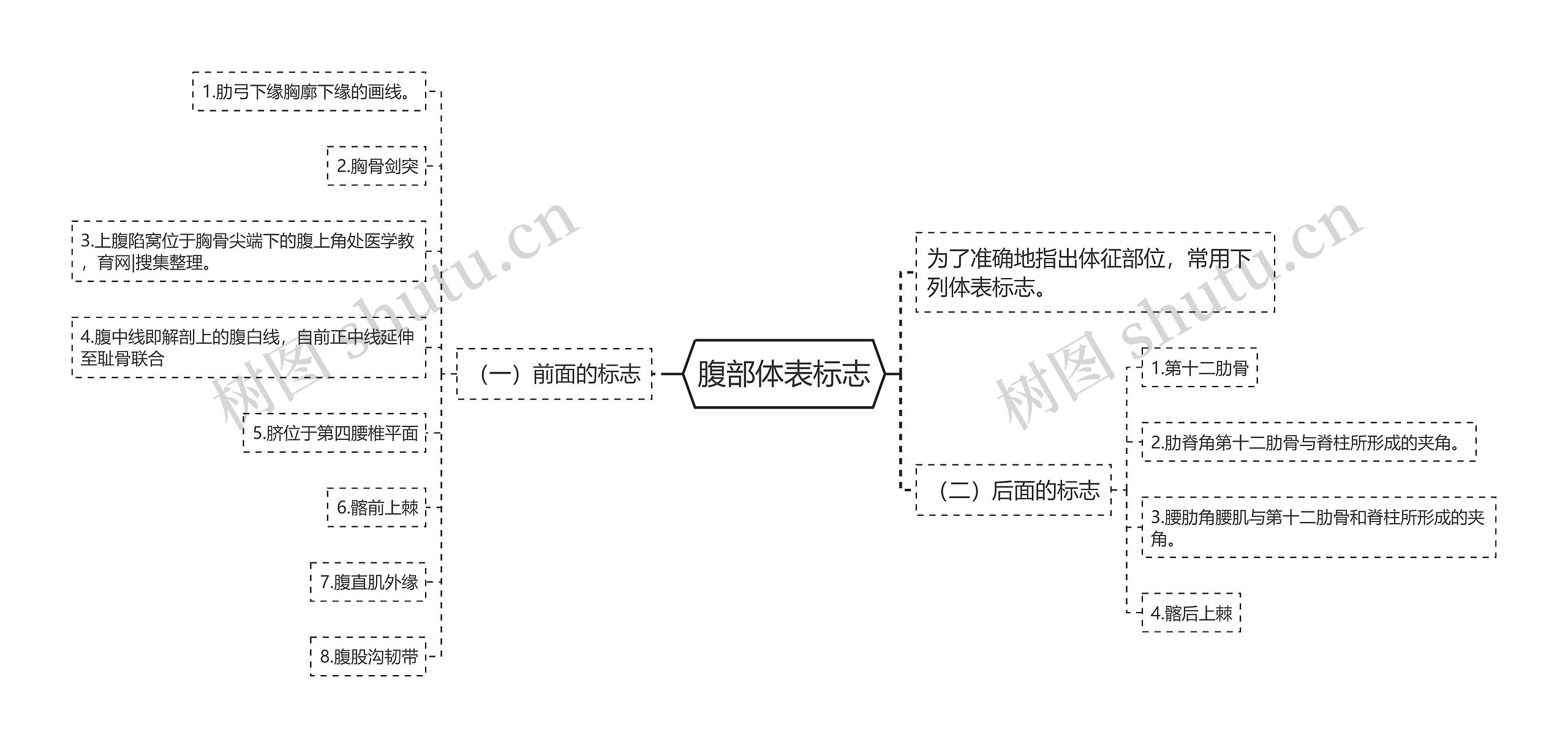 腹部体表标志思维导图