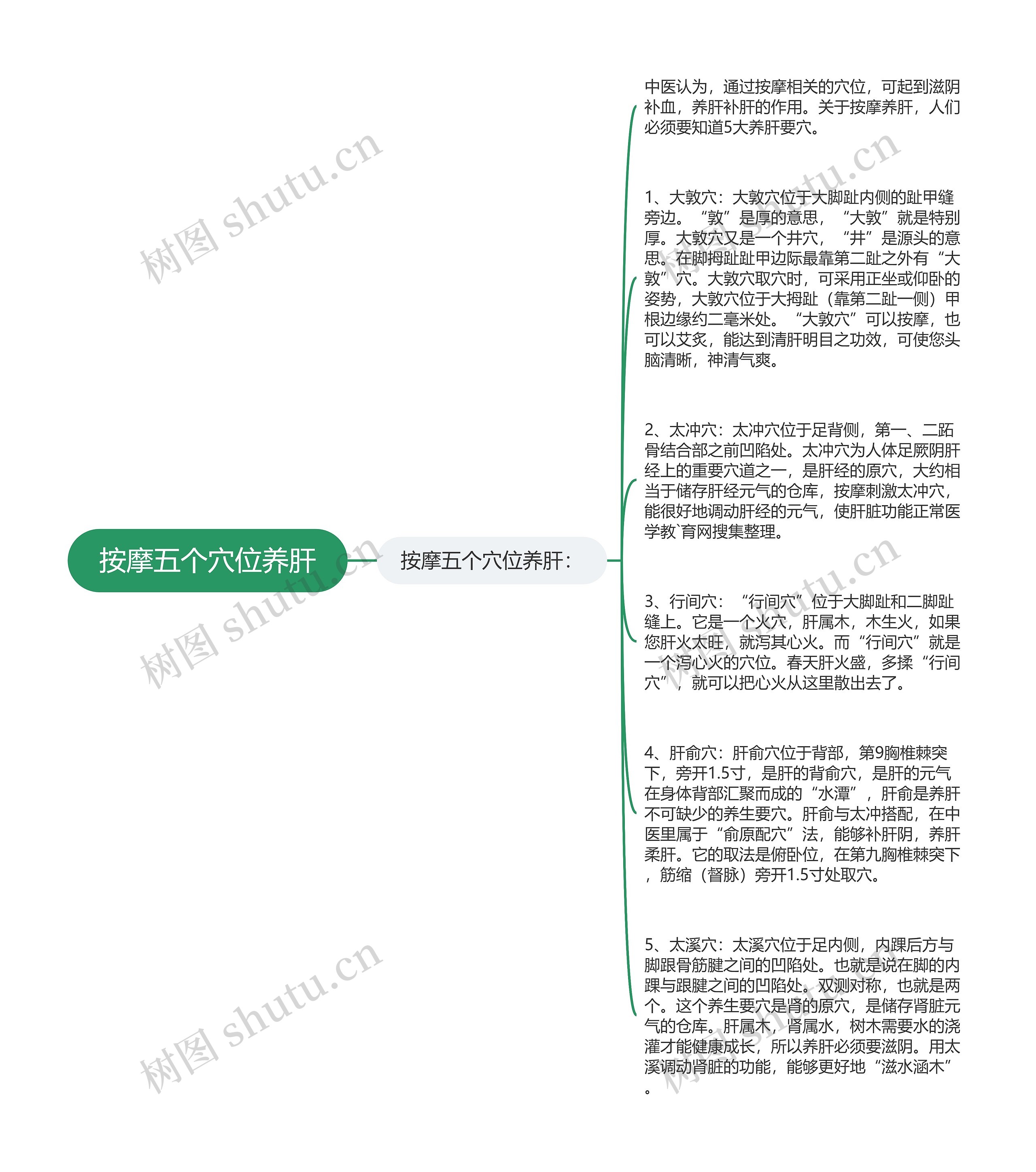 按摩五个穴位养肝思维导图