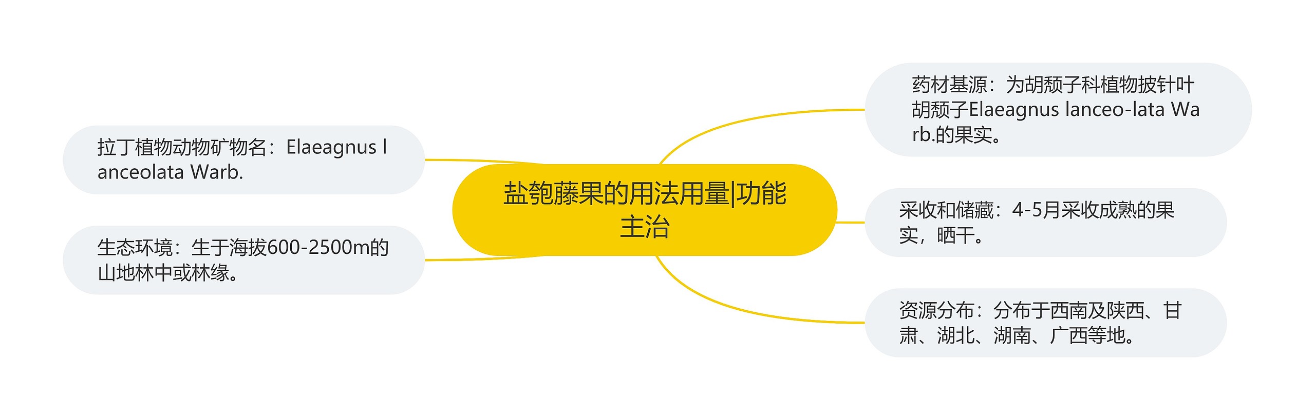 盐匏藤果的用法用量|功能主治 盐匏藤果的用法用量|功能主治