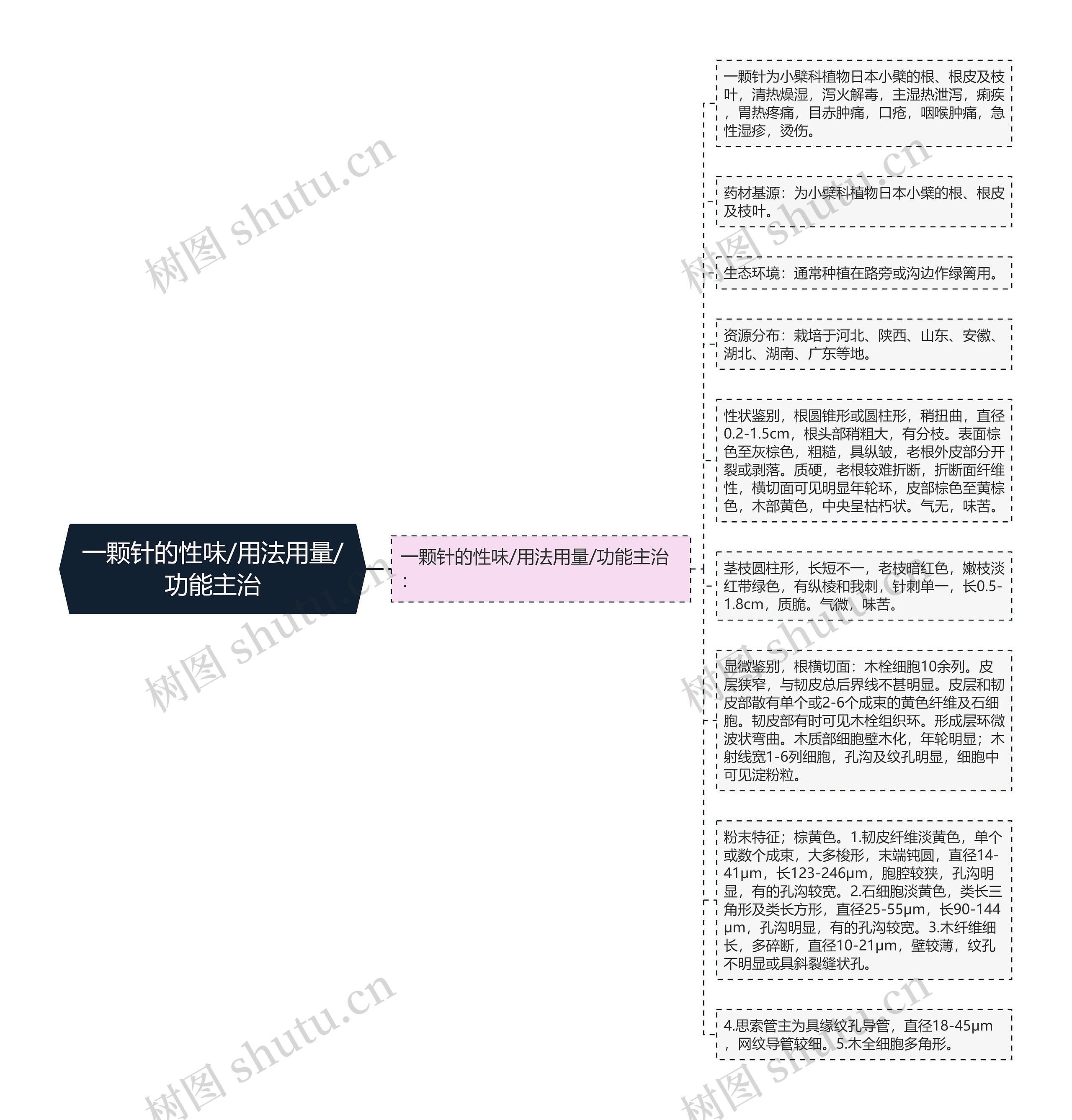 一颗针的性味/用法用量/功能主治思维导图