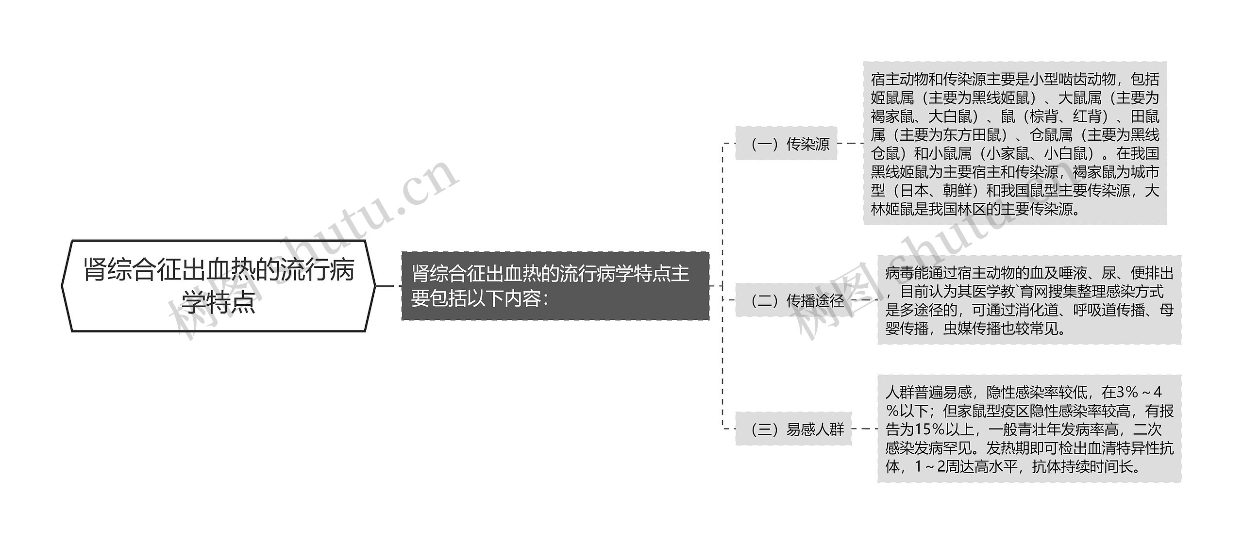 肾综合征出血热的流行病学特点思维导图