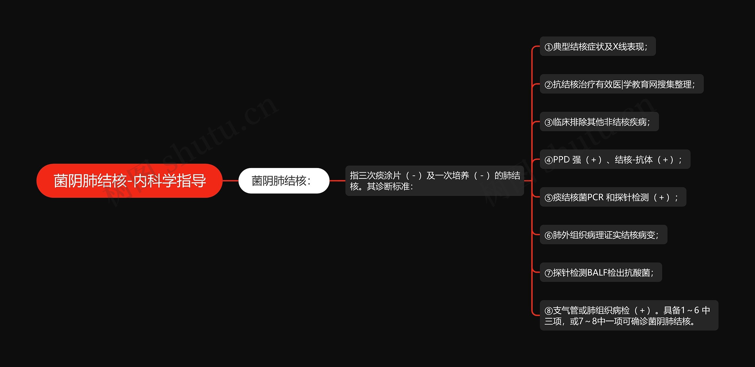 菌阴肺结核-内科学指导