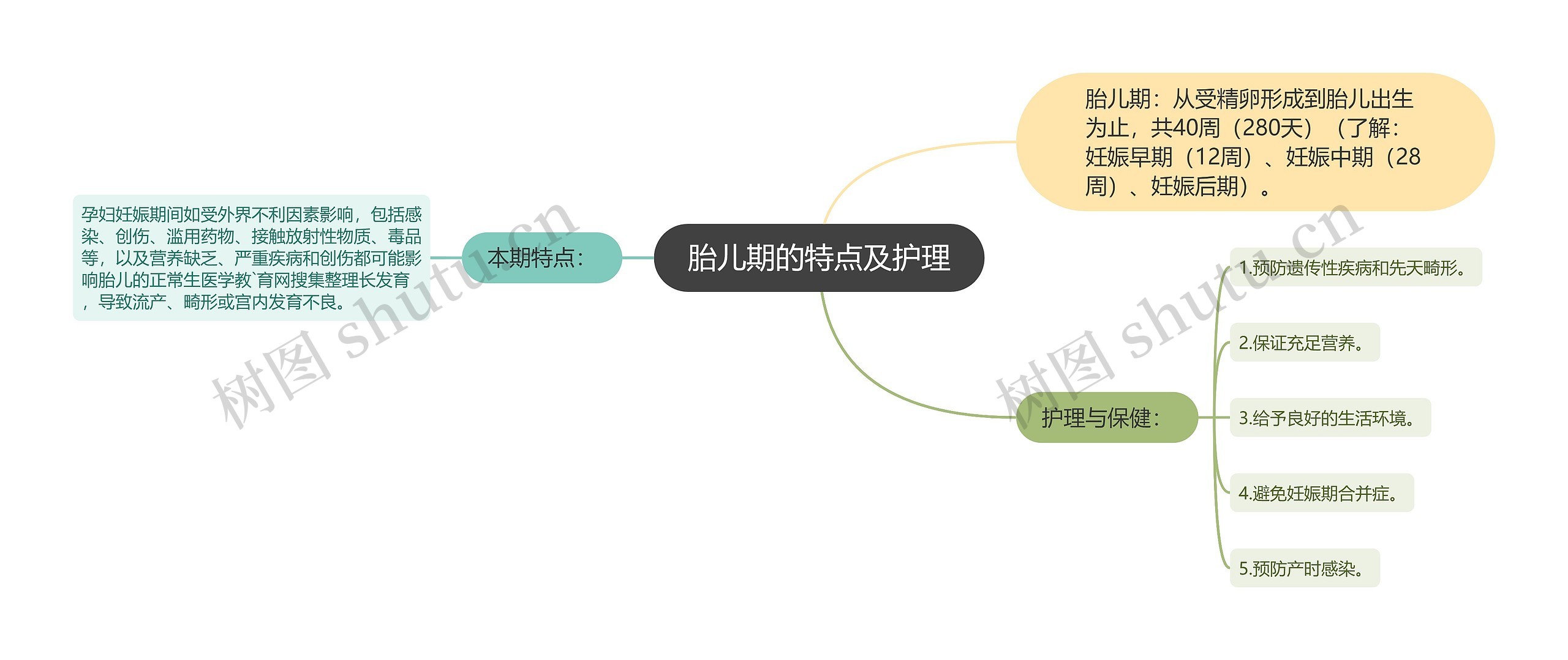 胎儿期的特点及护理思维导图