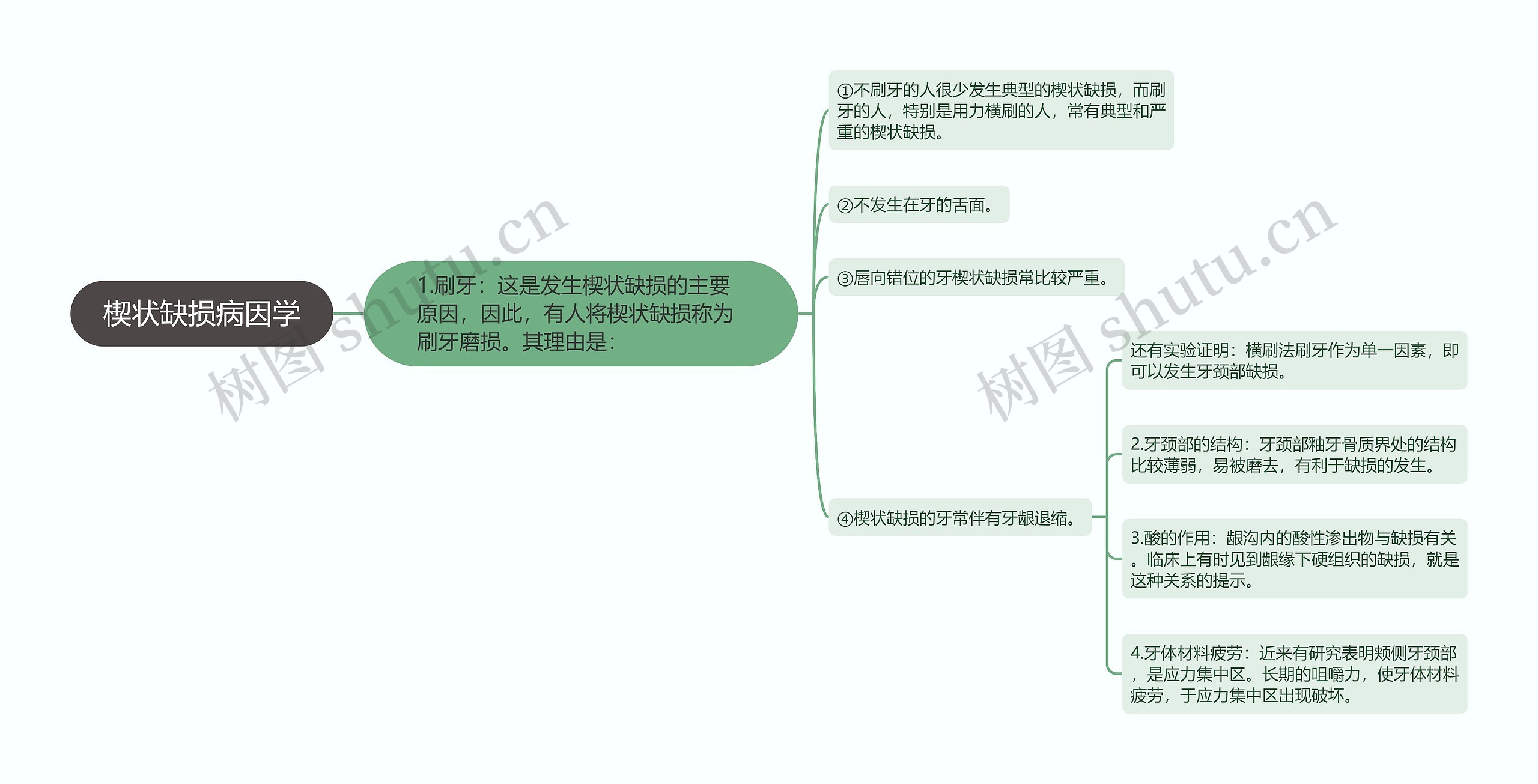 楔状缺损病因学 楔状缺损病因学