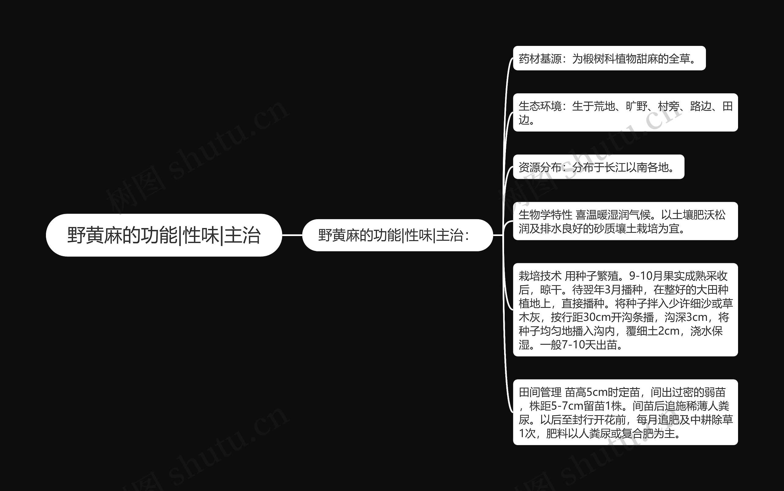 野黄麻的功能|性味|主治 野黄麻的功能|性味|主治