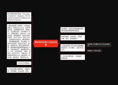 爬树龙的功能主治|用法用量