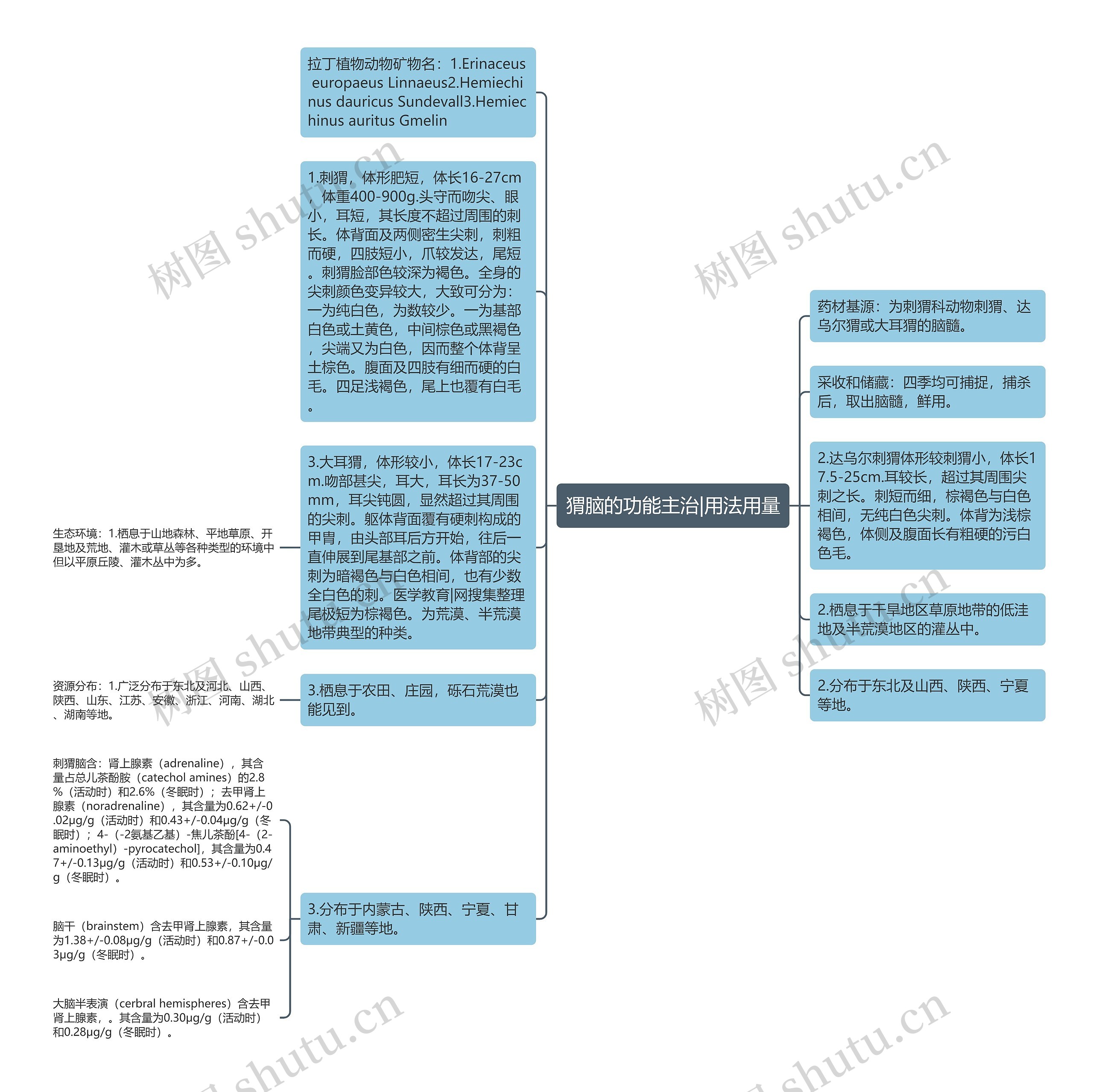 猬脑的功能主治|用法用量思维导图