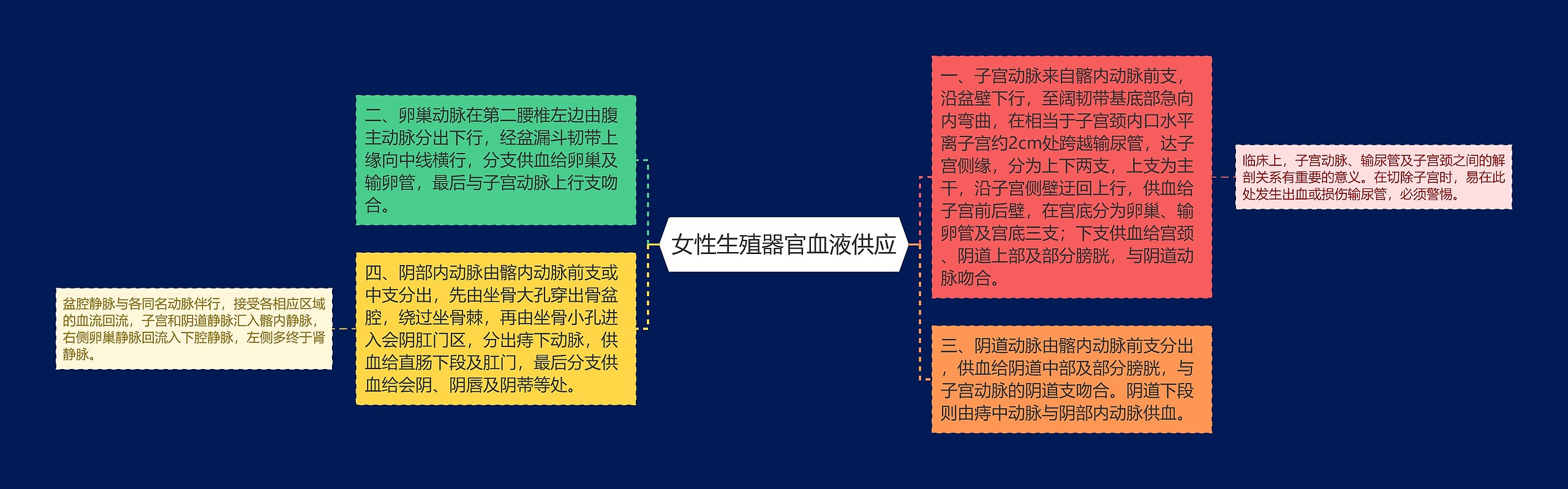 女性生殖器官血液供应 女性生殖器官血液供应