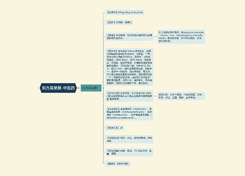 东方荚果蕨-中医药