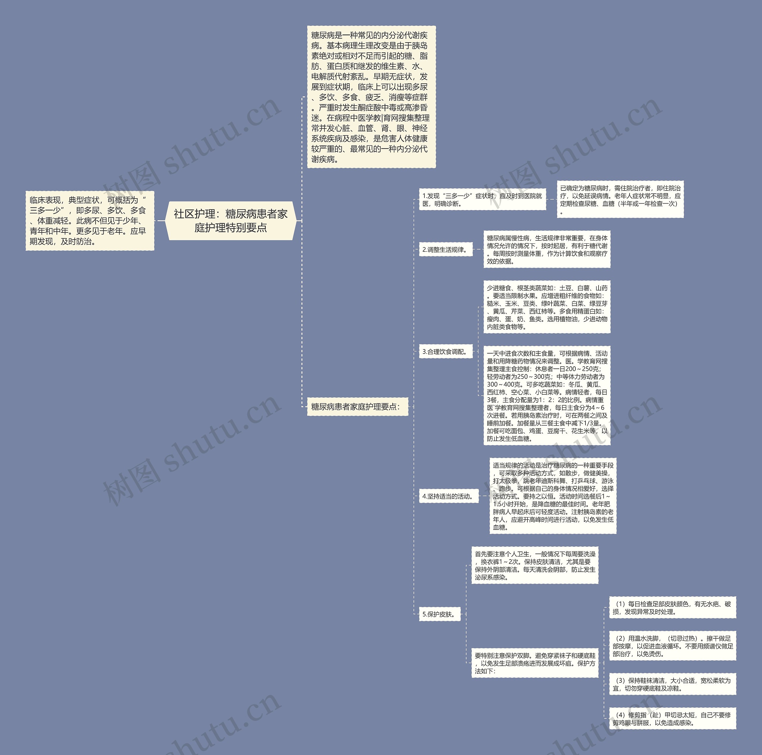 社区护理：糖尿病患者家庭护理特别要点思维导图