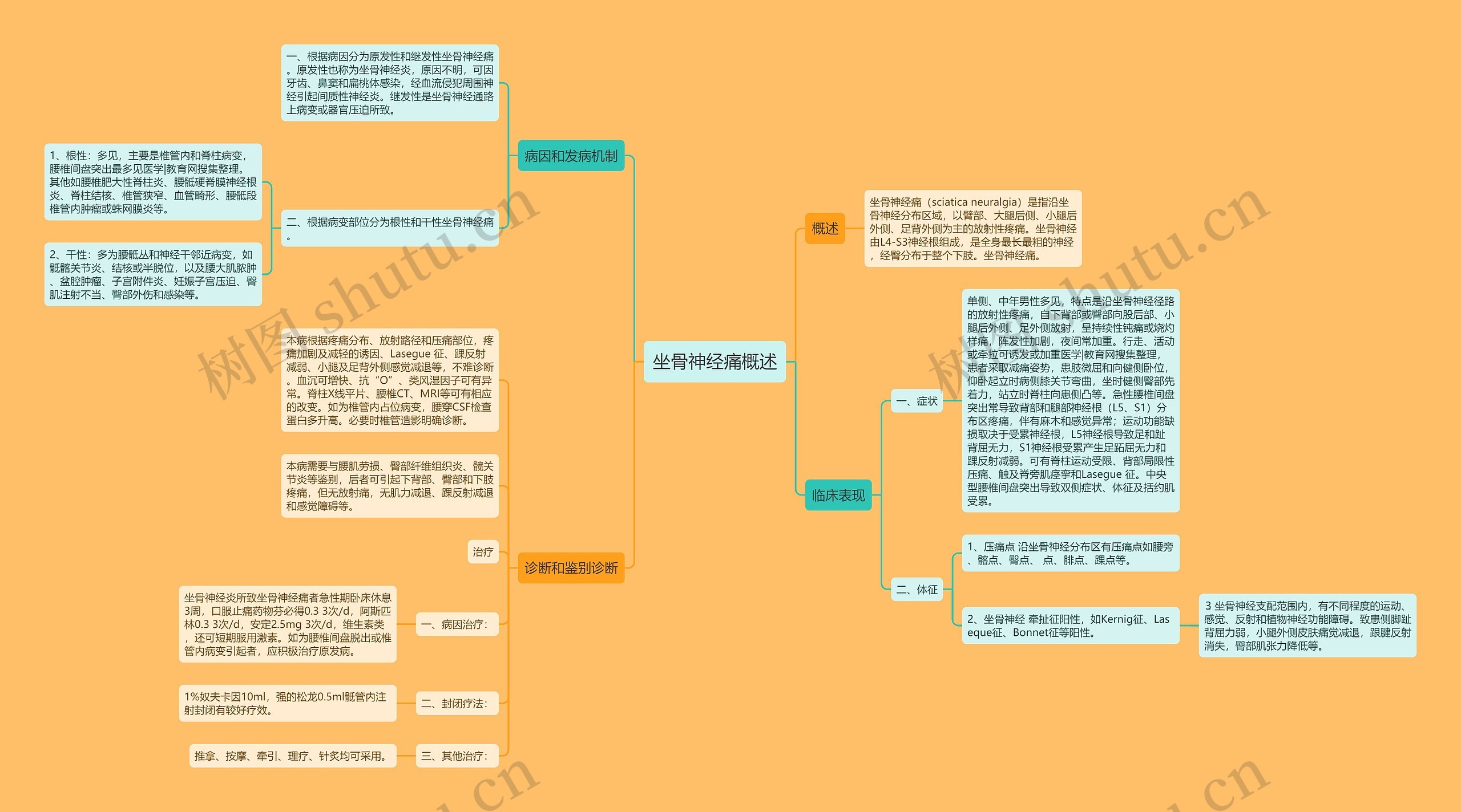 坐骨神经痛概述思维导图