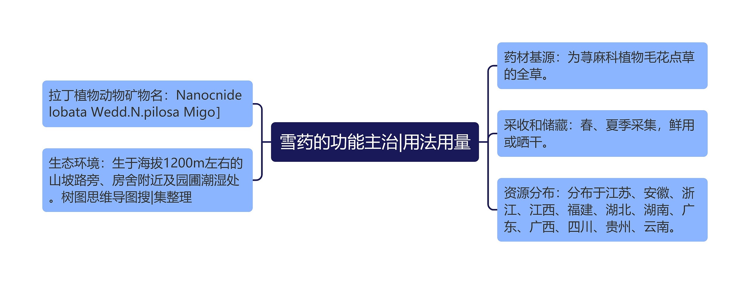 雪药的功能主治|用法用量思维导图