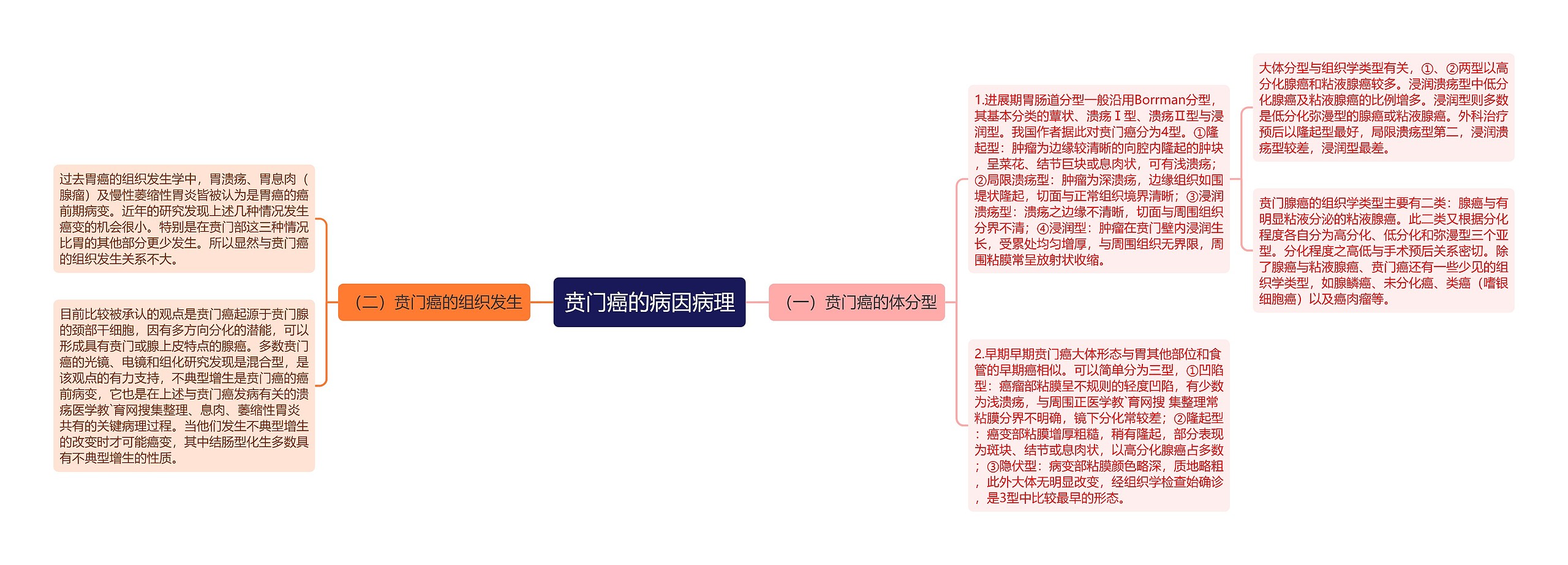 贲门癌的病因病理