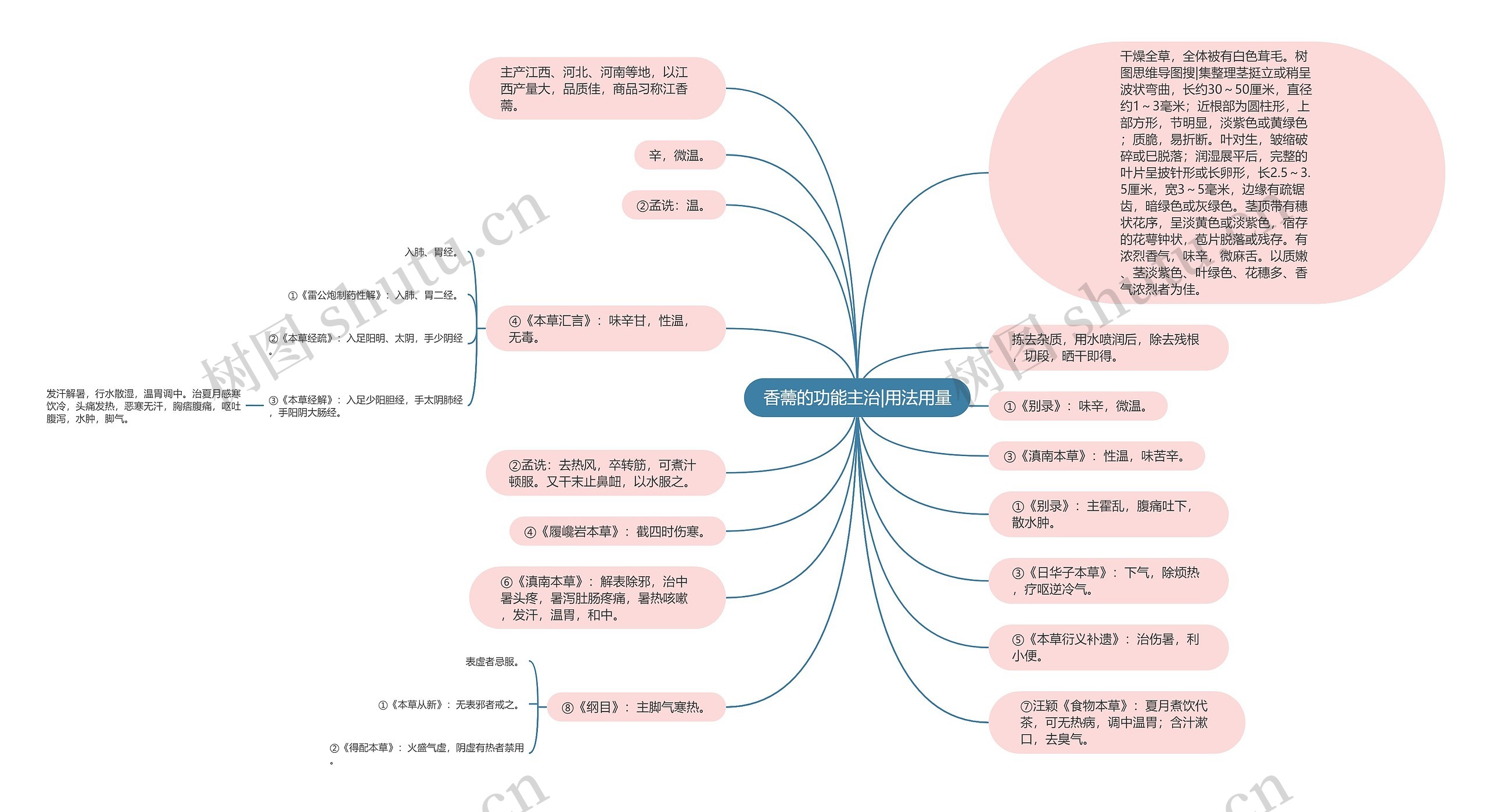 香薷的功能主治|用法用量 香薷的功能主治|用法用量