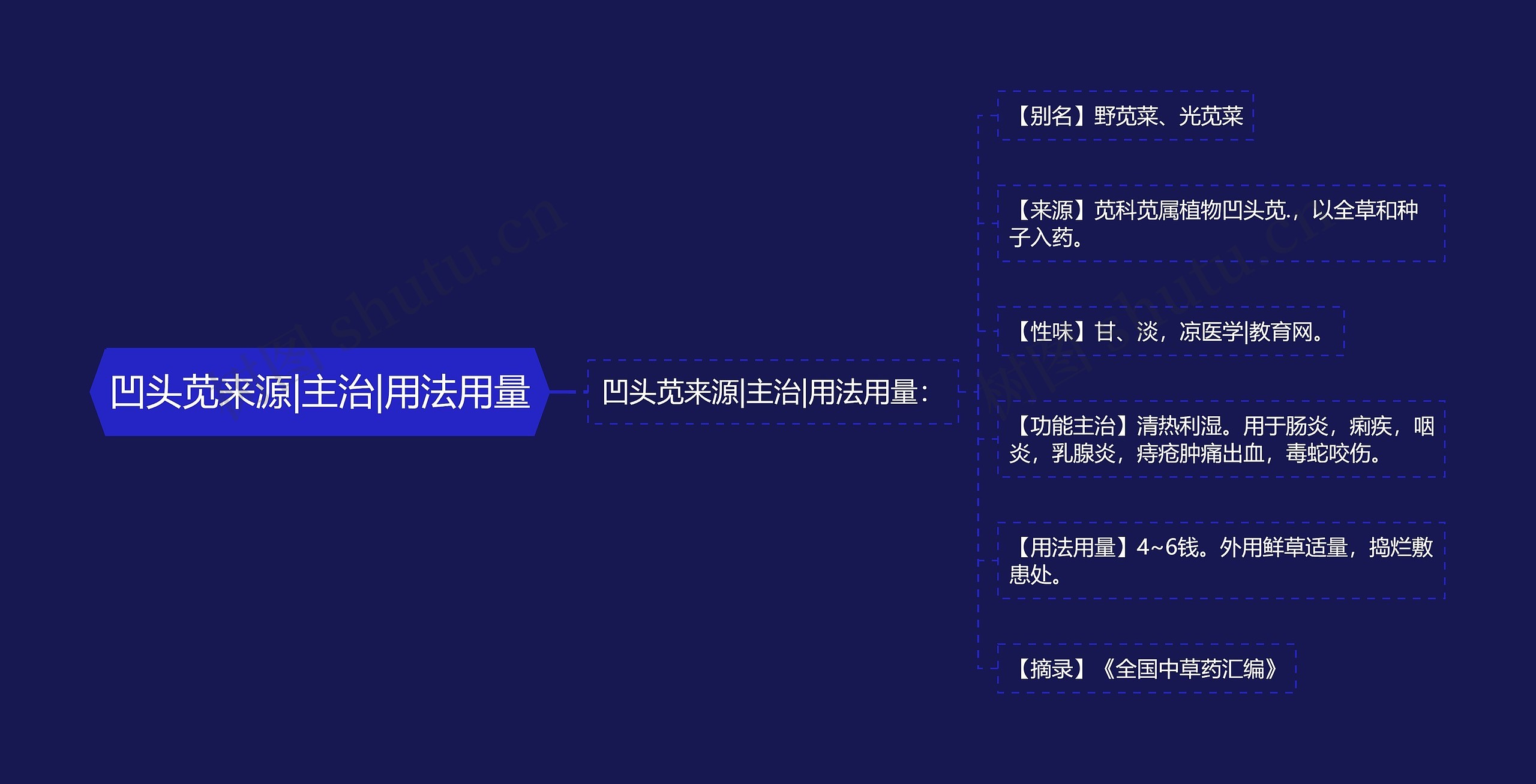 凹头苋来源|主治|用法用量思维导图