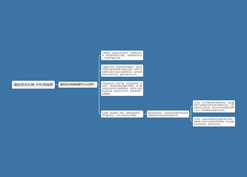 肾脏损伤分类-外科学指导