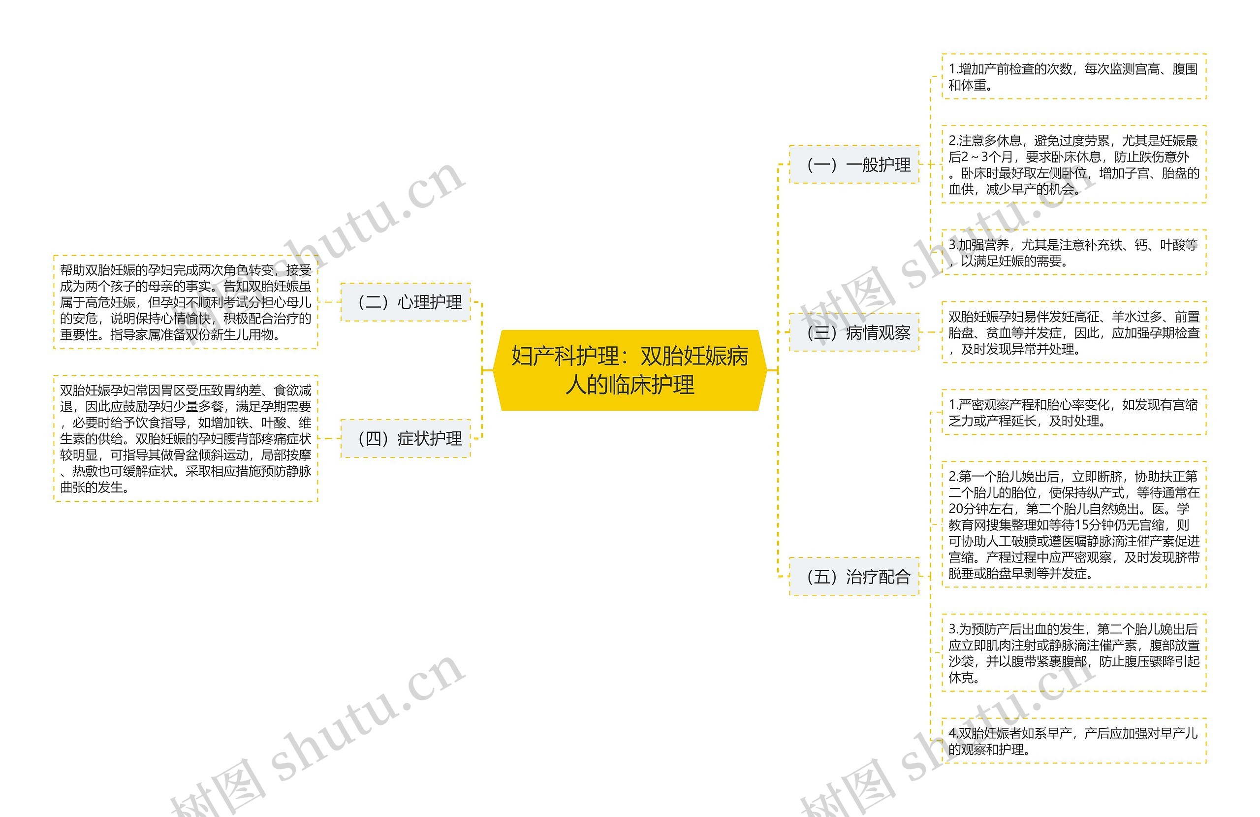 妇产科护理：双胎妊娠病人的临床护理思维导图