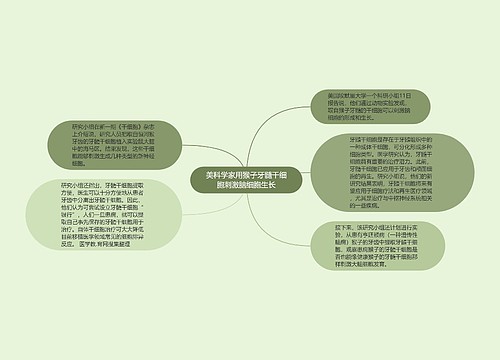 美科学家用猴子牙髓干细胞刺激脑细胞生长