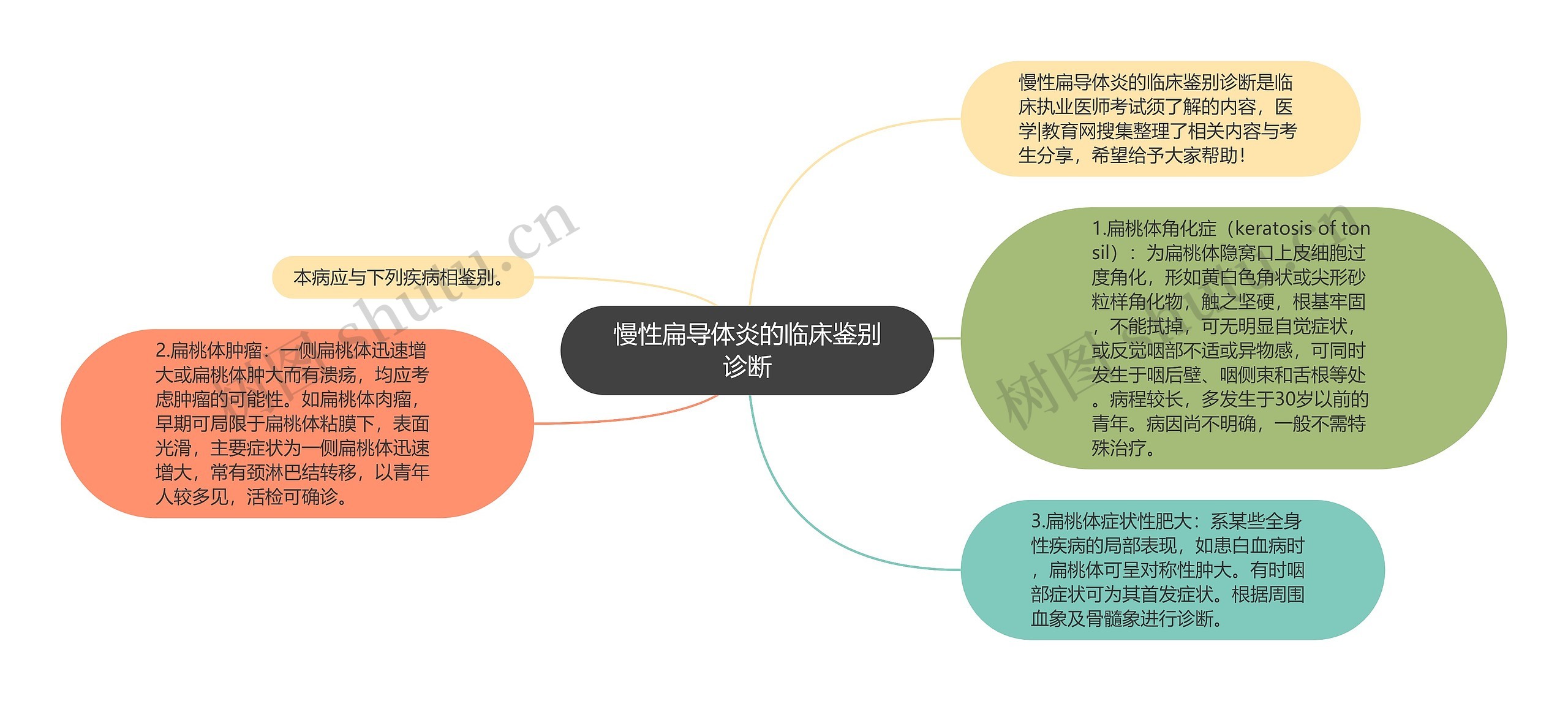 慢性扁导体炎的临床鉴别诊断思维导图