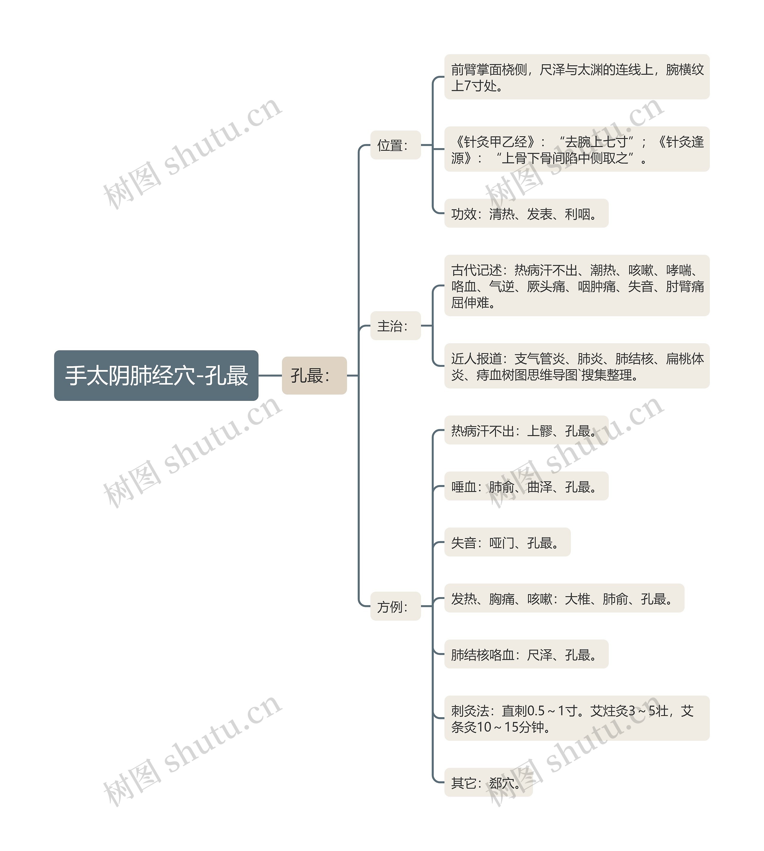 手太阴肺经穴-孔最 手太阴肺经穴-孔最