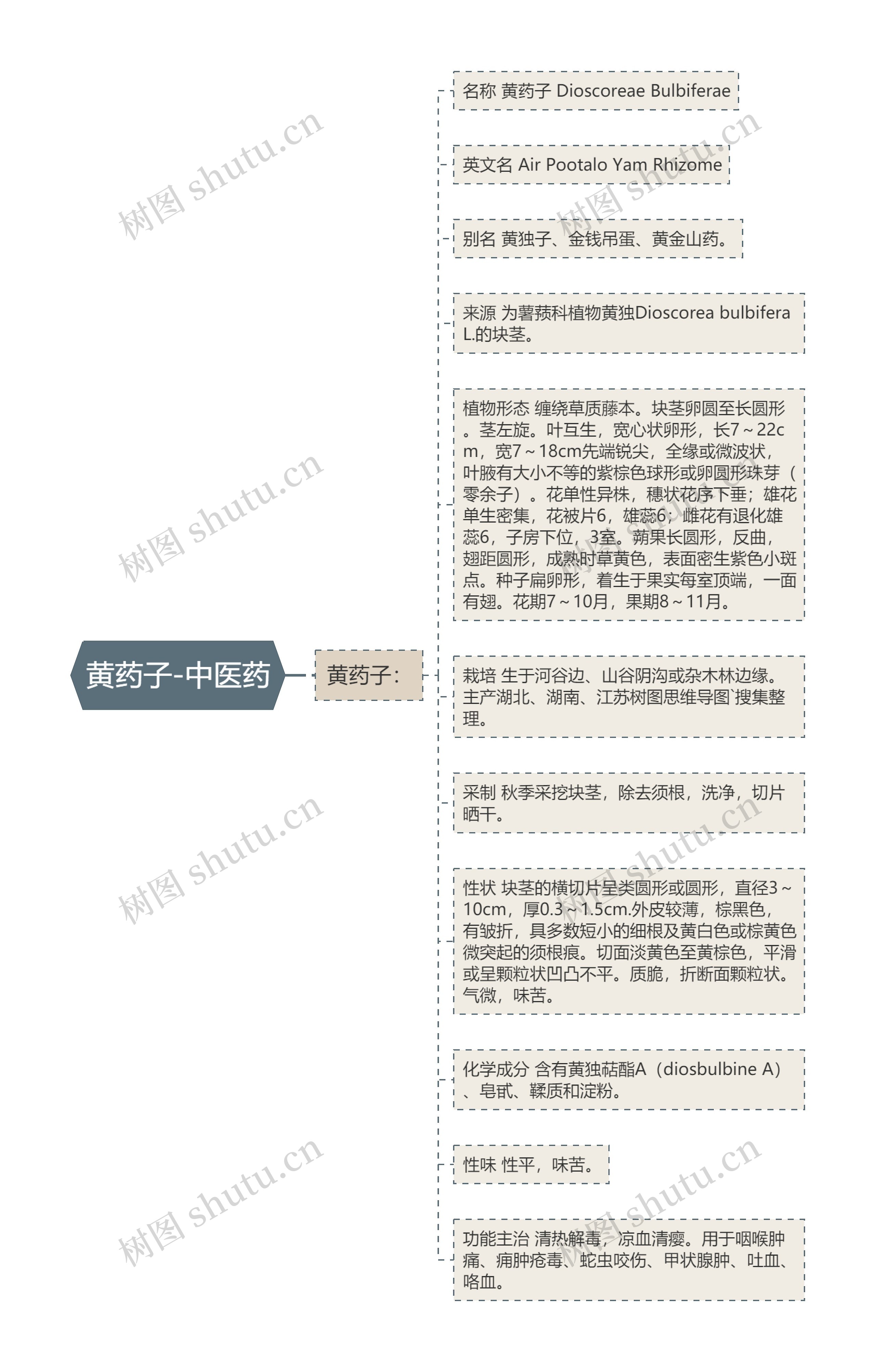 黄药子-中医药 黄药子-中医药