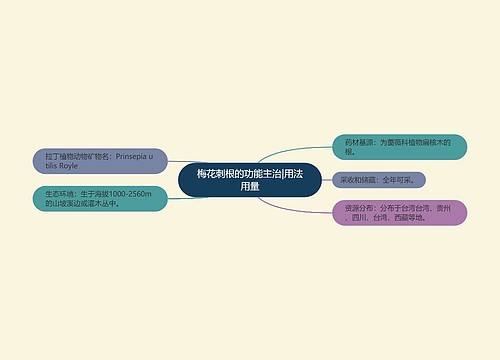 梅花刺根的功能主治|用法用量