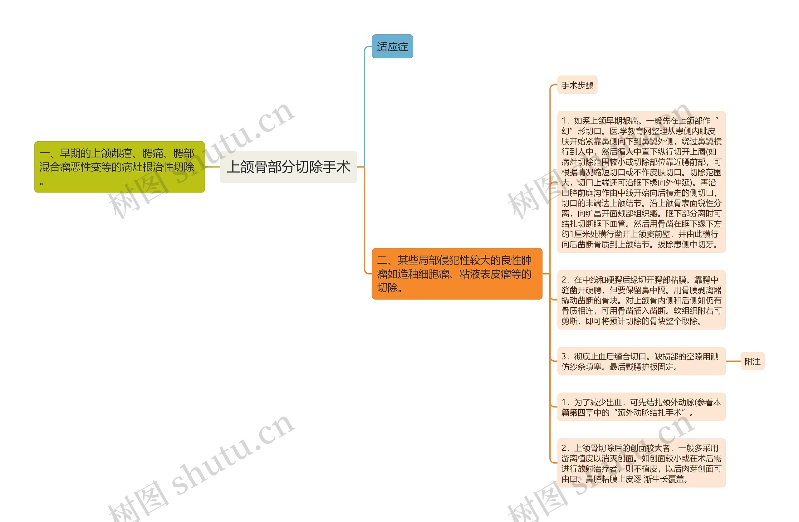 上颌骨部分切除手术思维导图