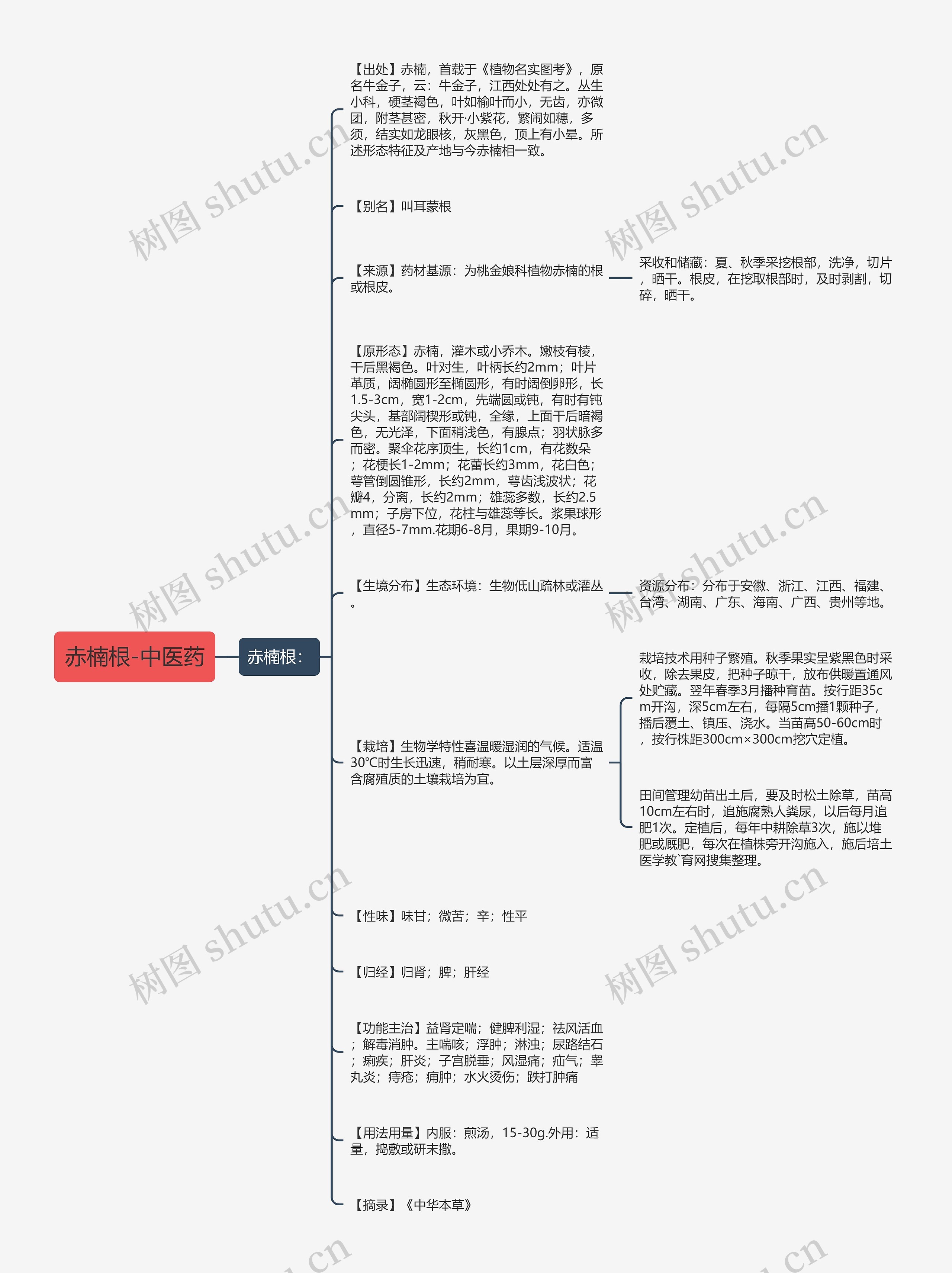 赤楠根-中医药思维导图