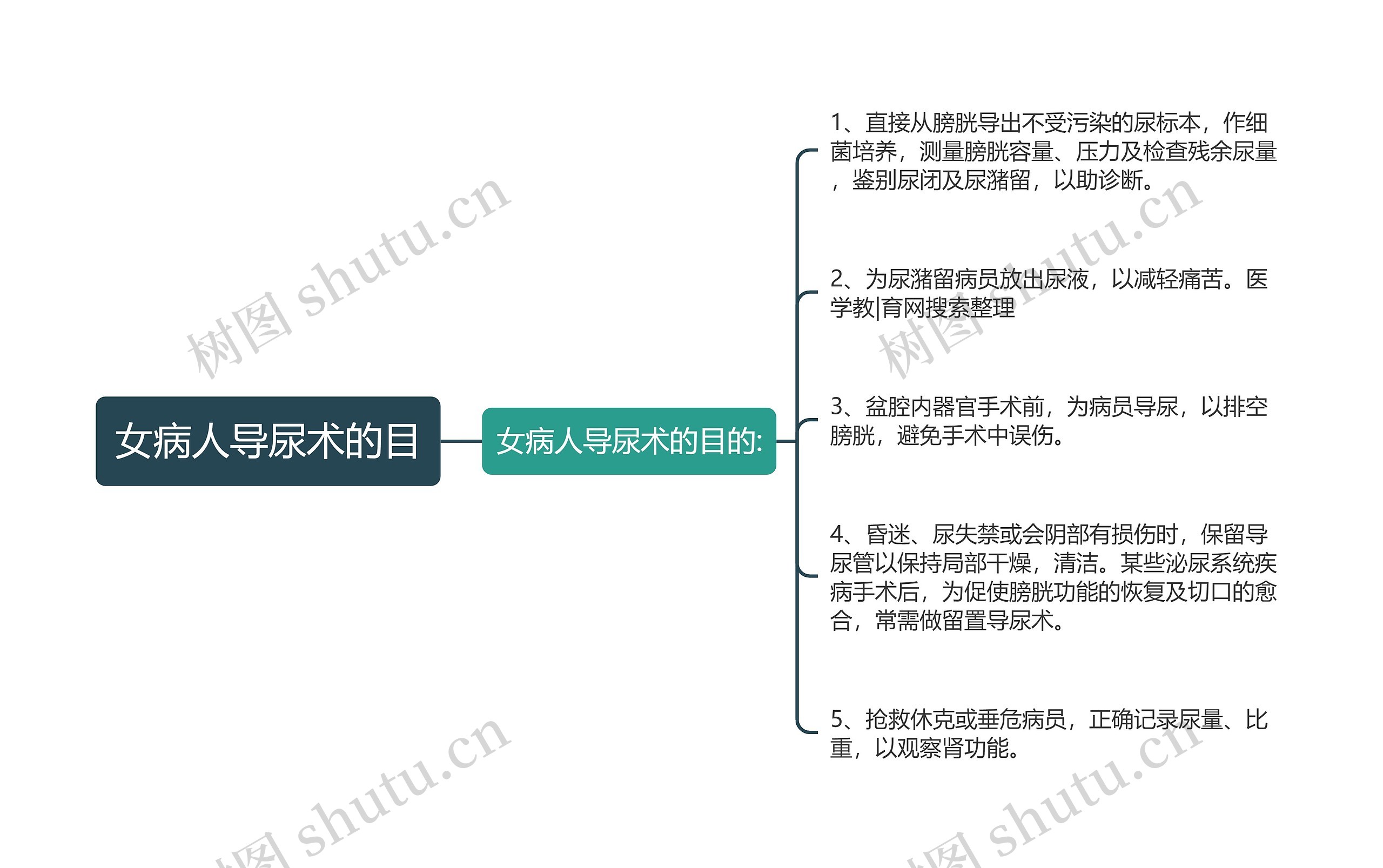 女病人导尿术的目思维导图