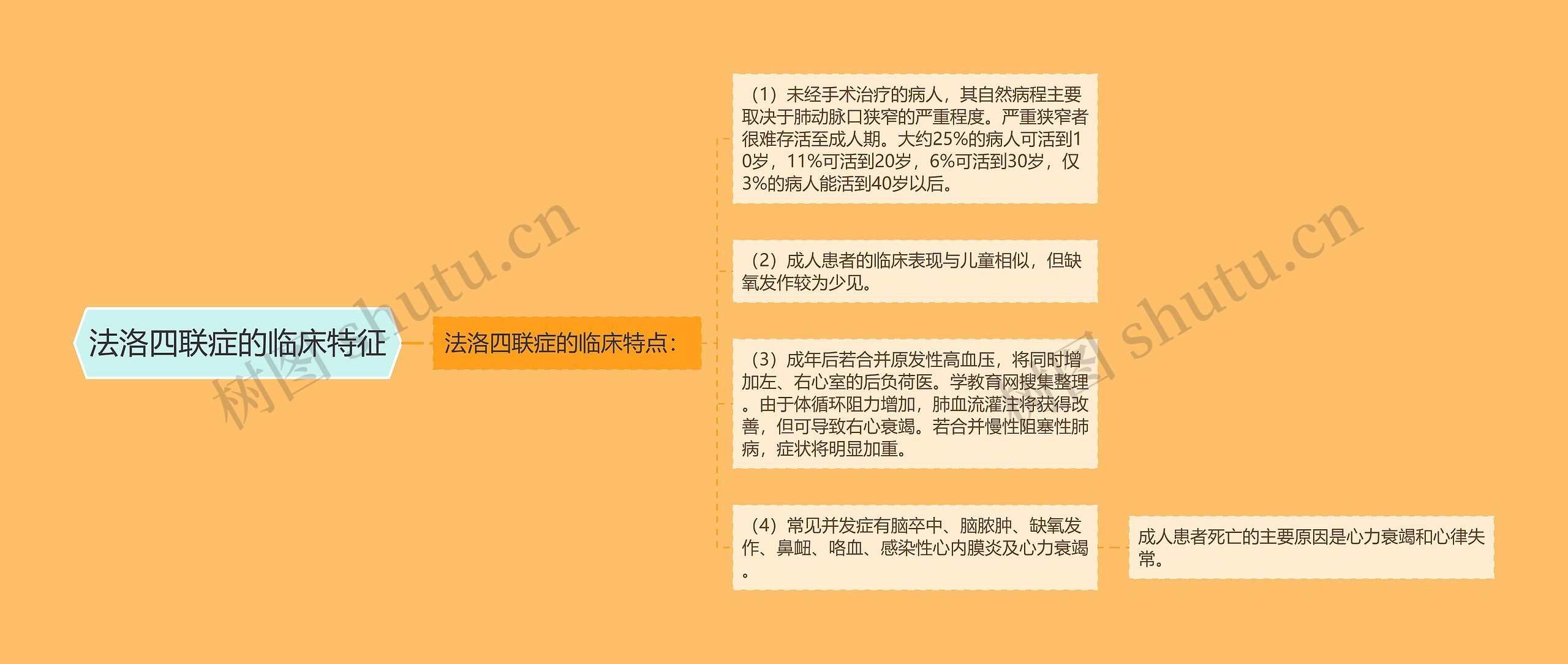 法洛四联症的临床特征 法洛四联症的临床特征