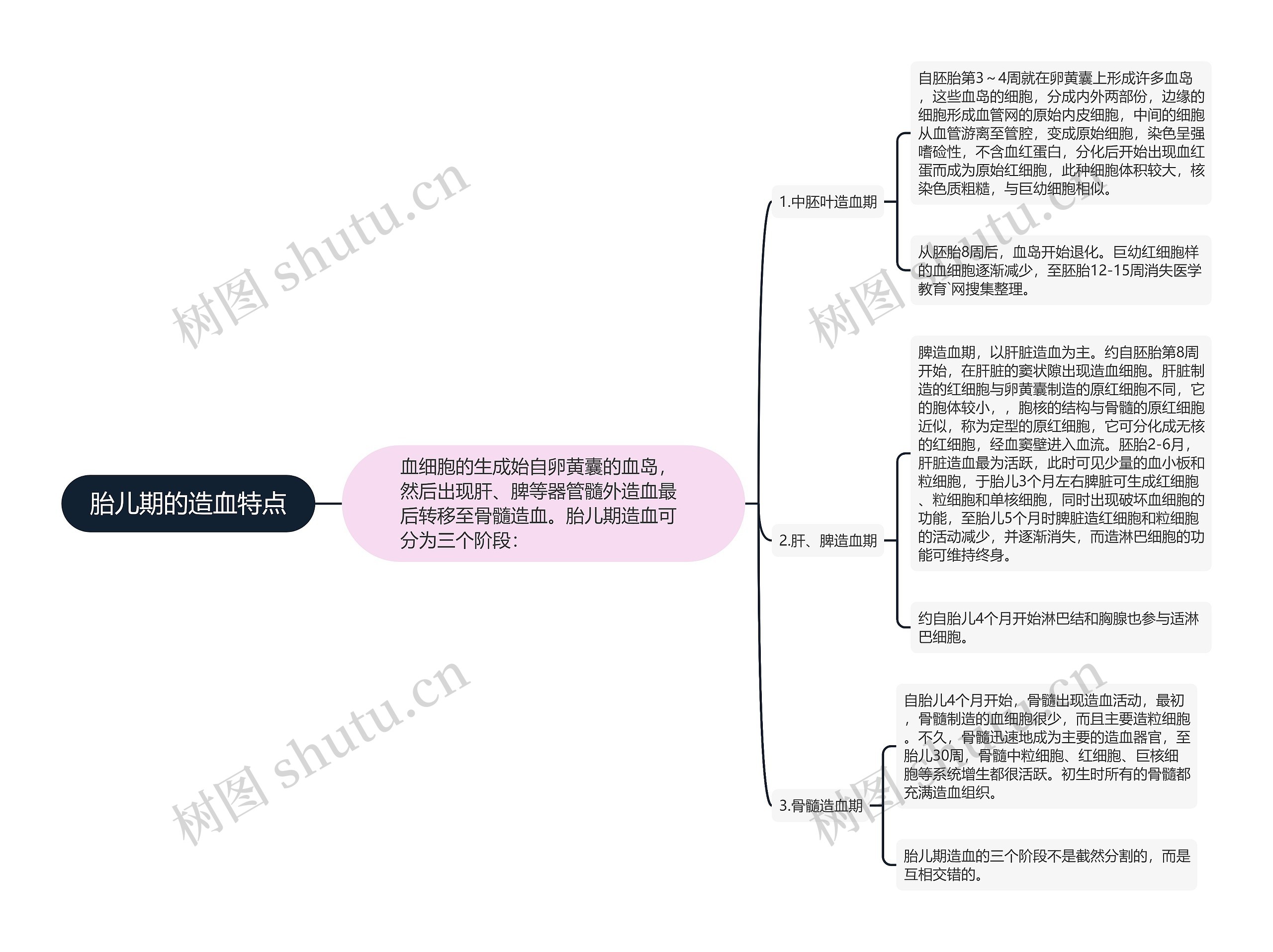 胎儿期的造血特点