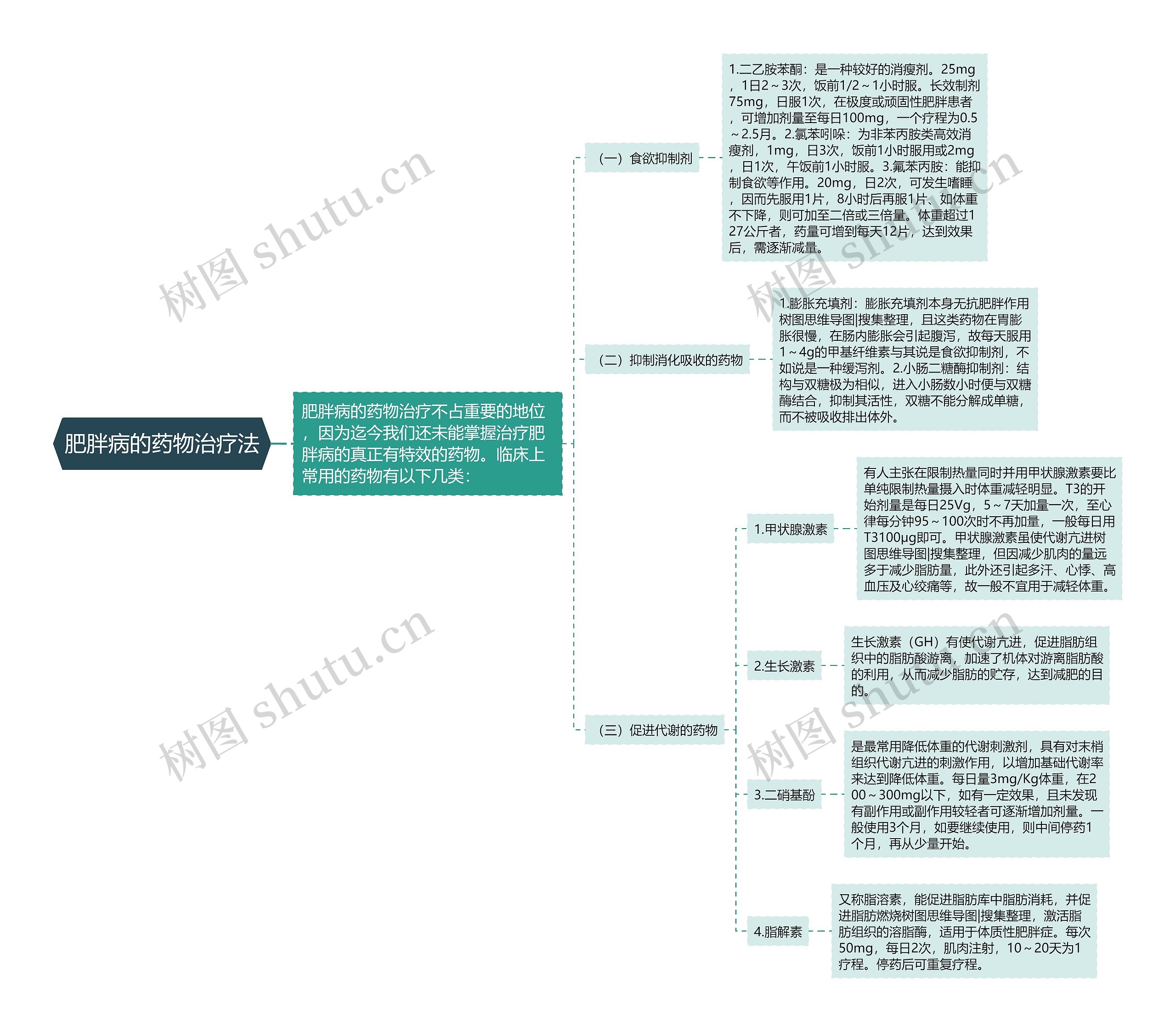 肥胖病的药物治疗法 肥胖病的药物治疗法