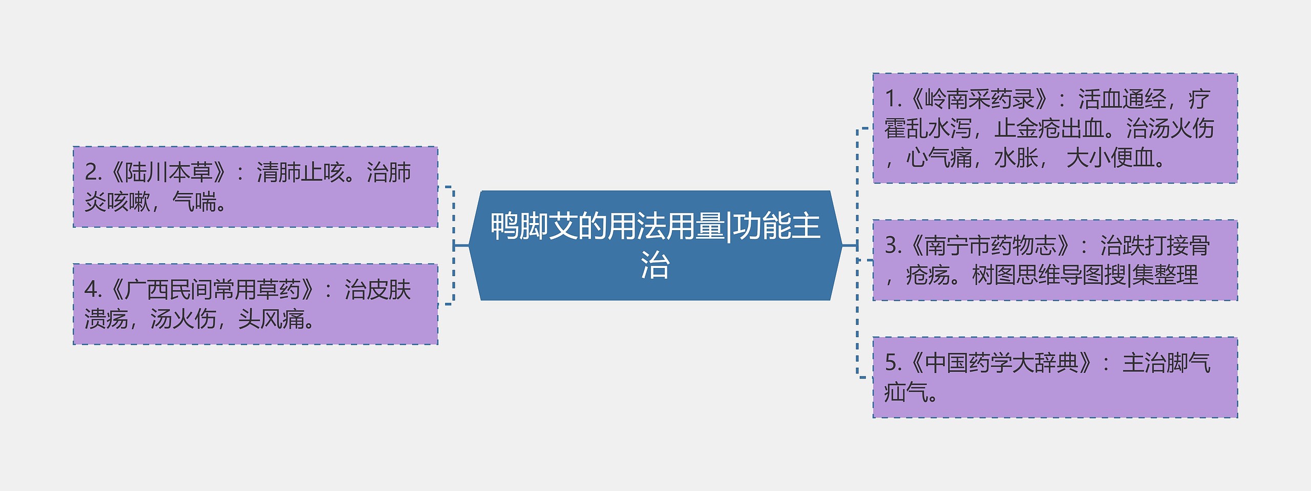 鸭脚艾的用法用量|功能主治