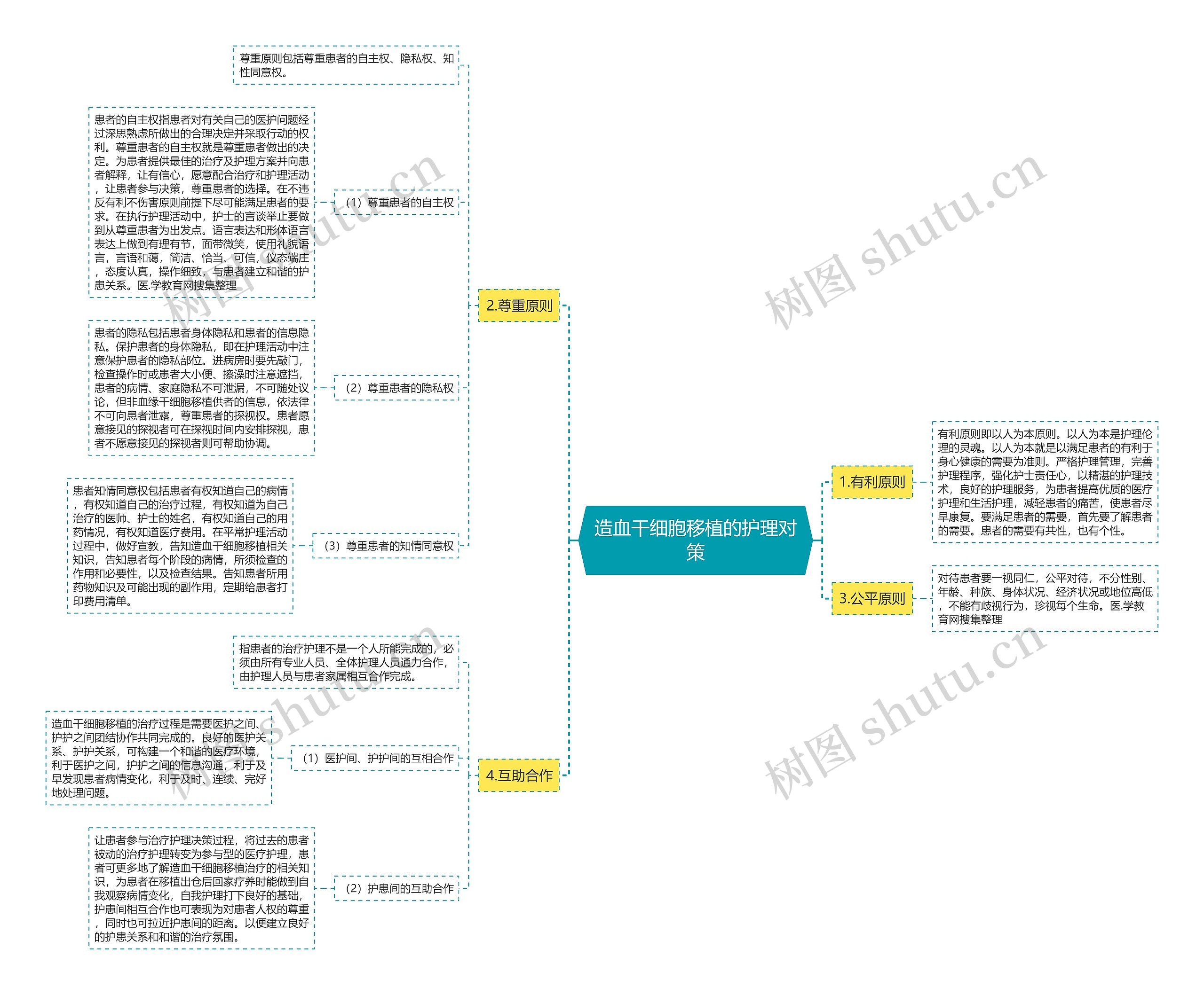 造血干细胞移植的护理对策思维导图