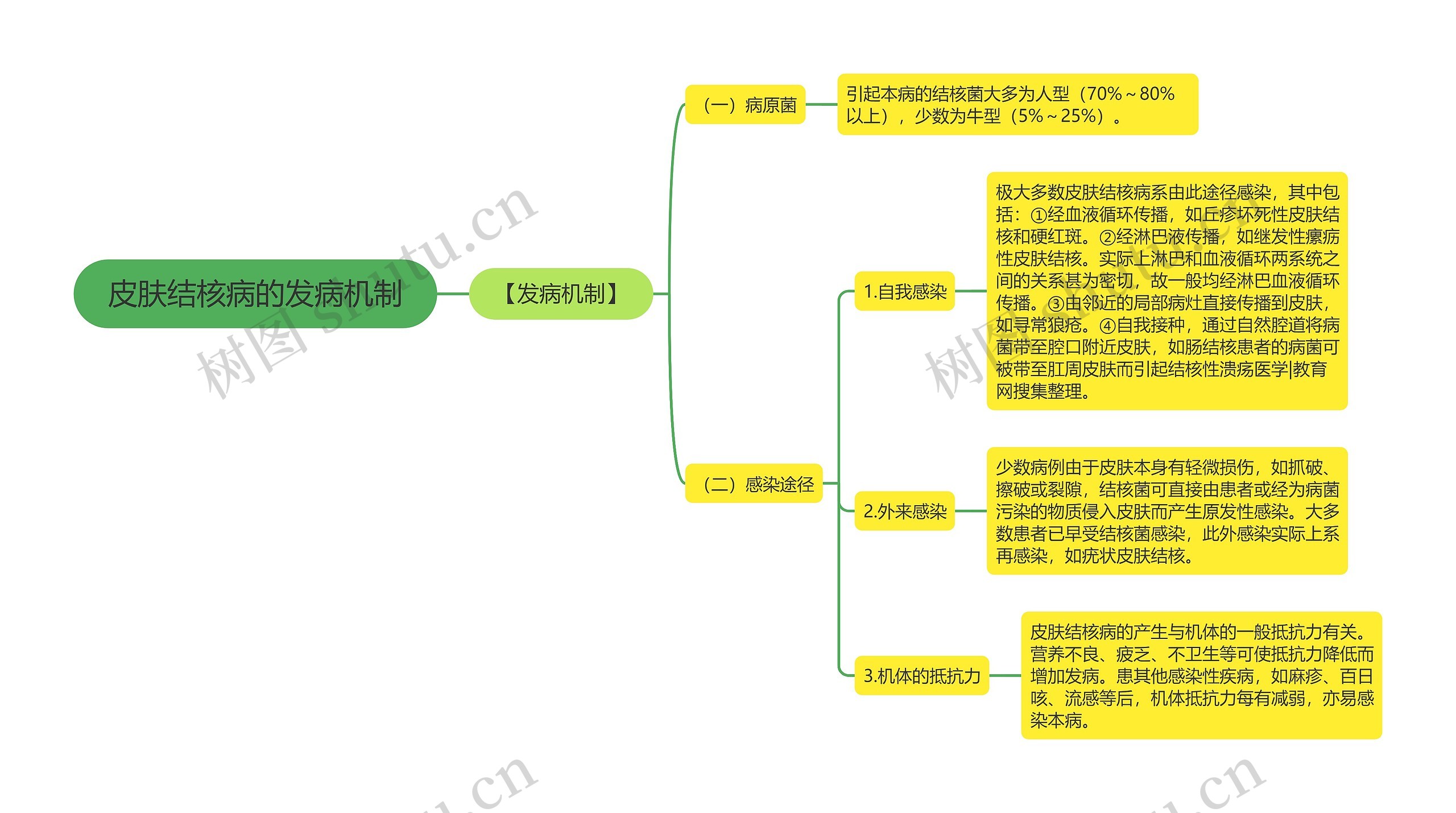 皮肤结核病的发病机制思维导图